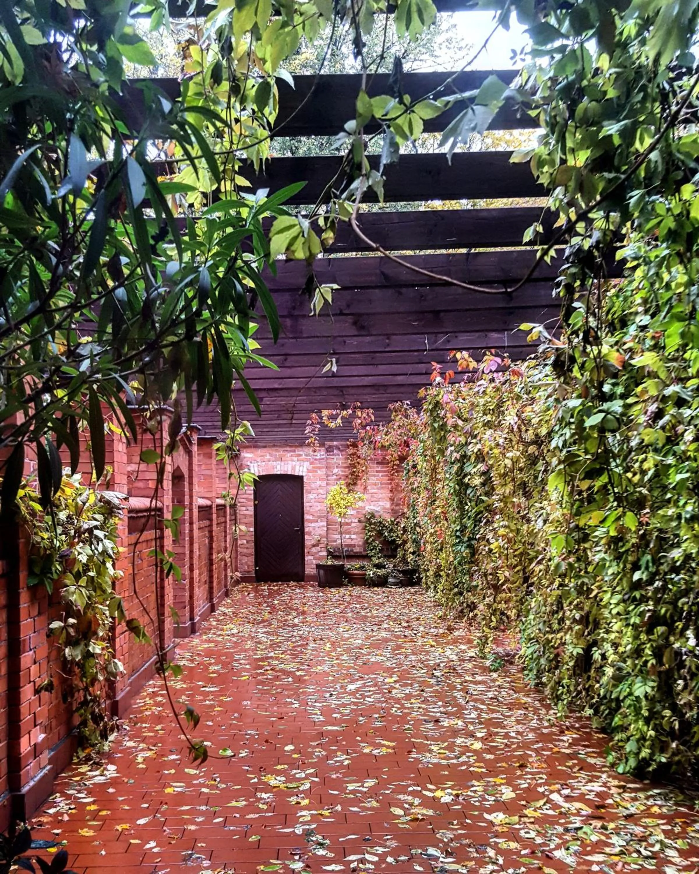 Natural landscape in Zamek Rzucewo