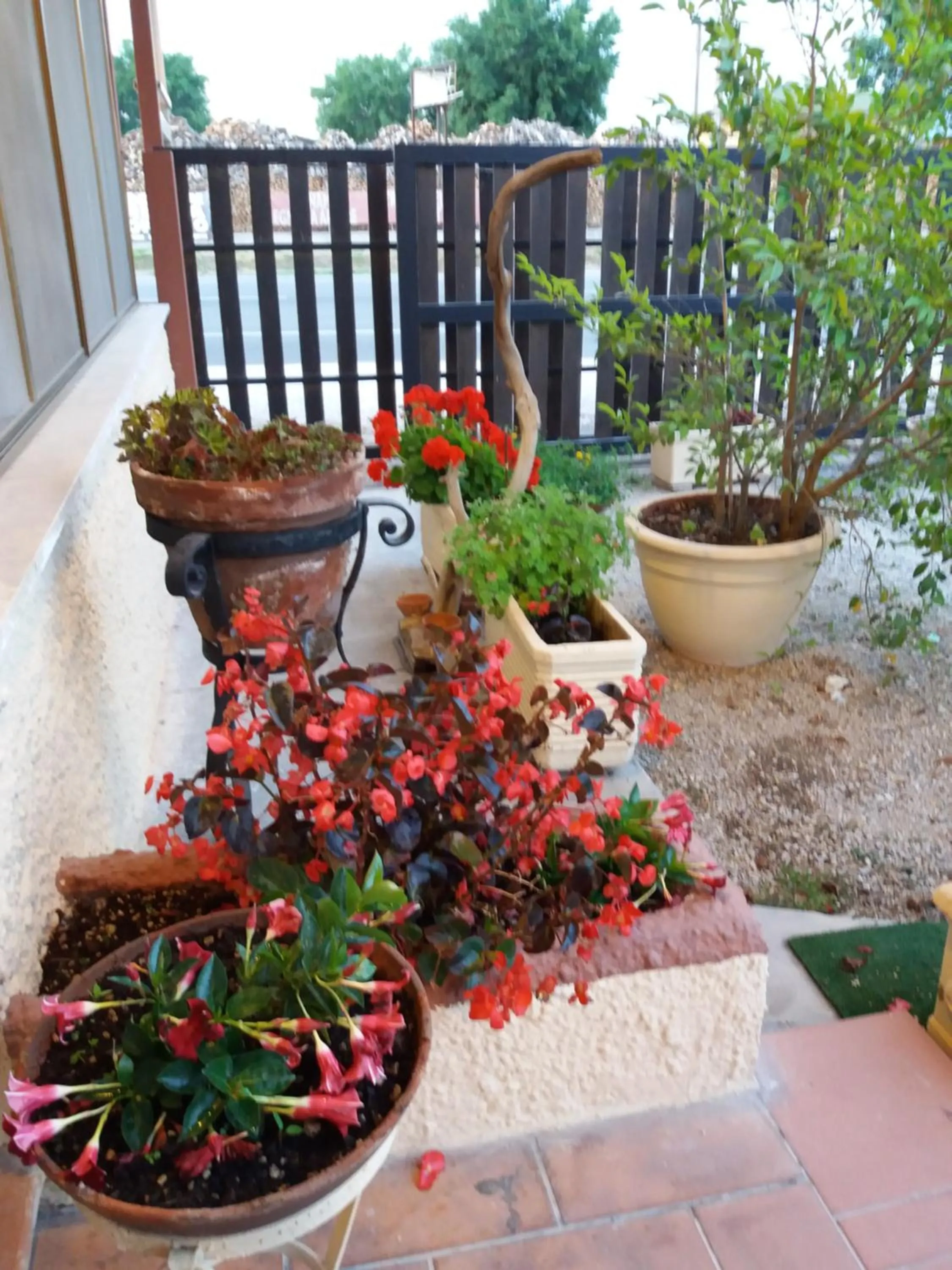 Property building in Il Piccolo Nido