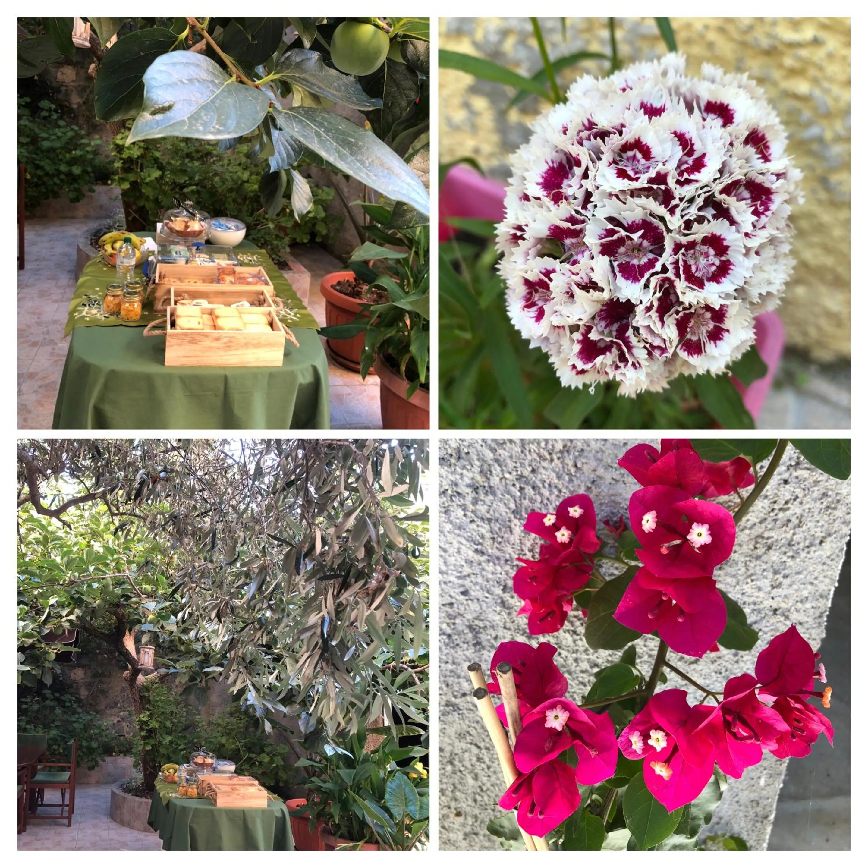 Property building in La Collina dei Ciliegi