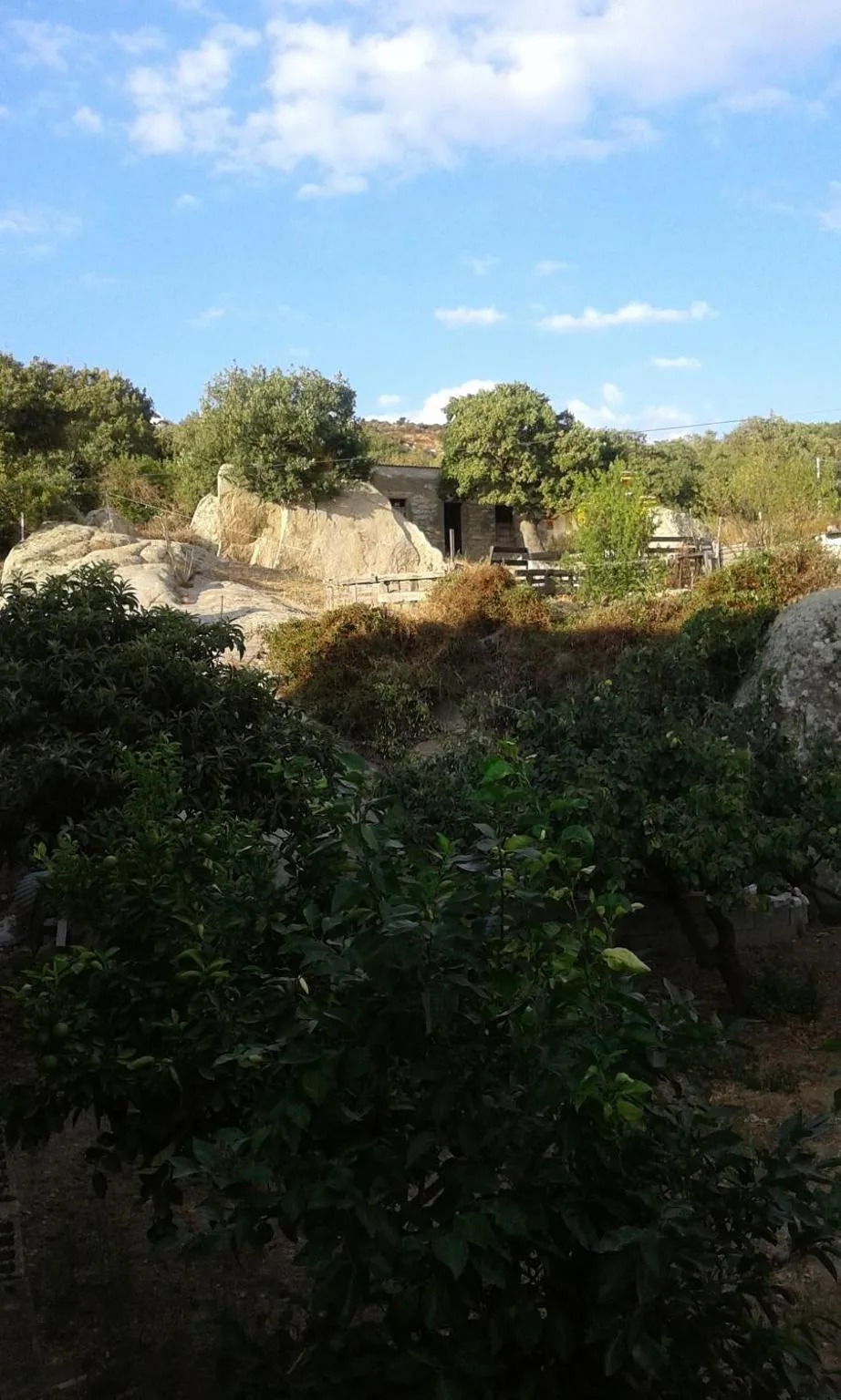 View (from property/room) in La Collina dei Ciliegi