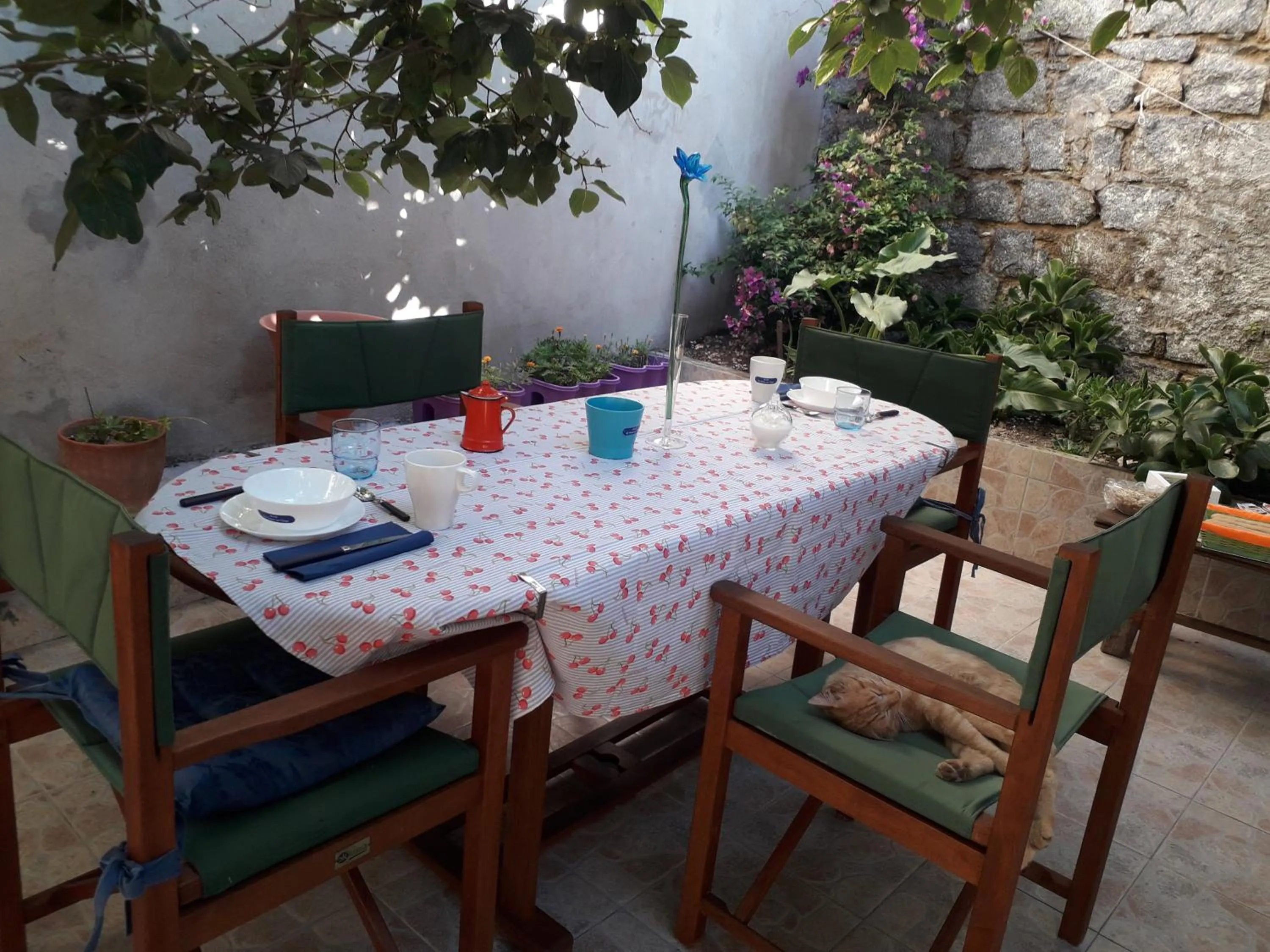 La Collina dei Ciliegi