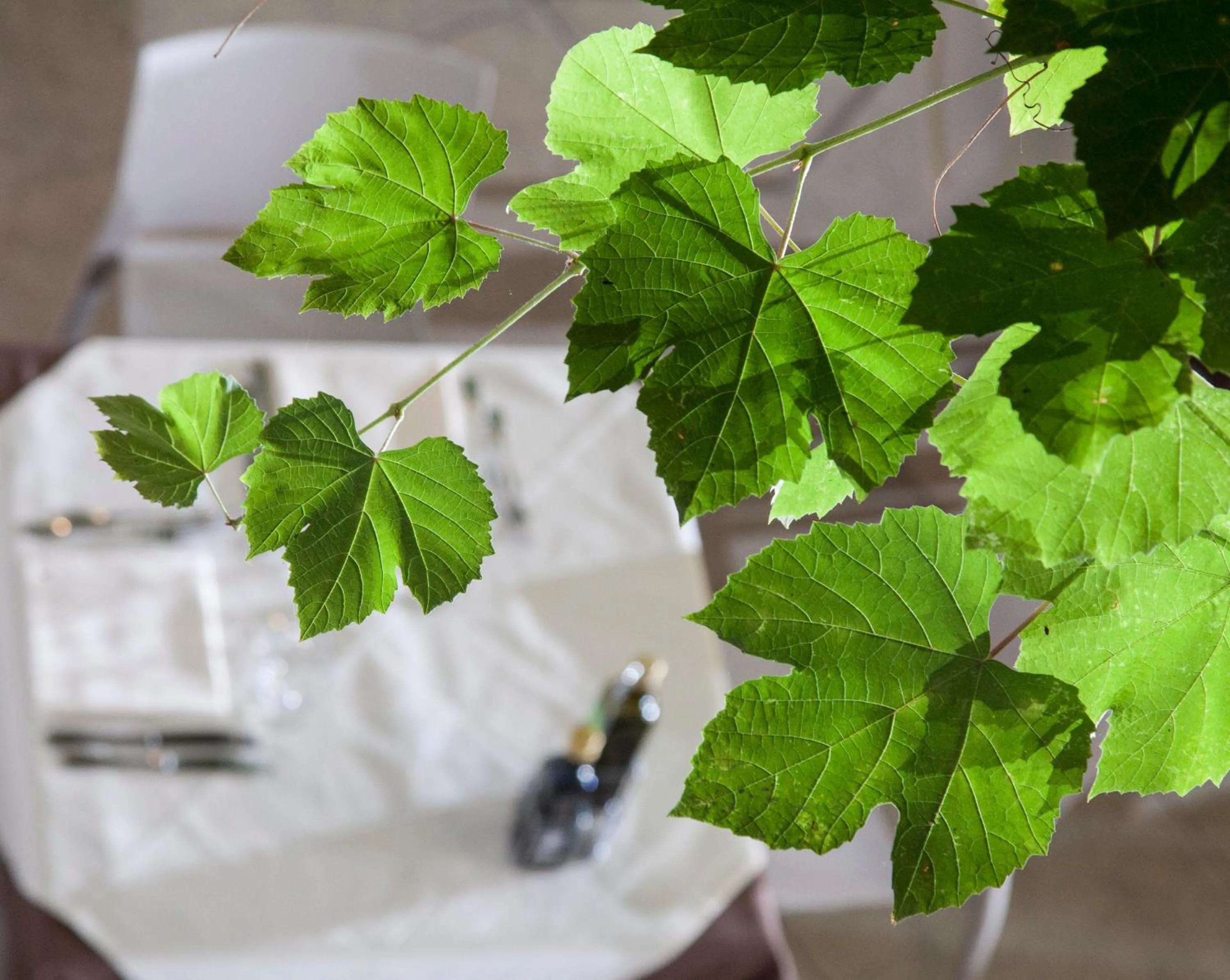 Decorative detail in Casa Alla Lega