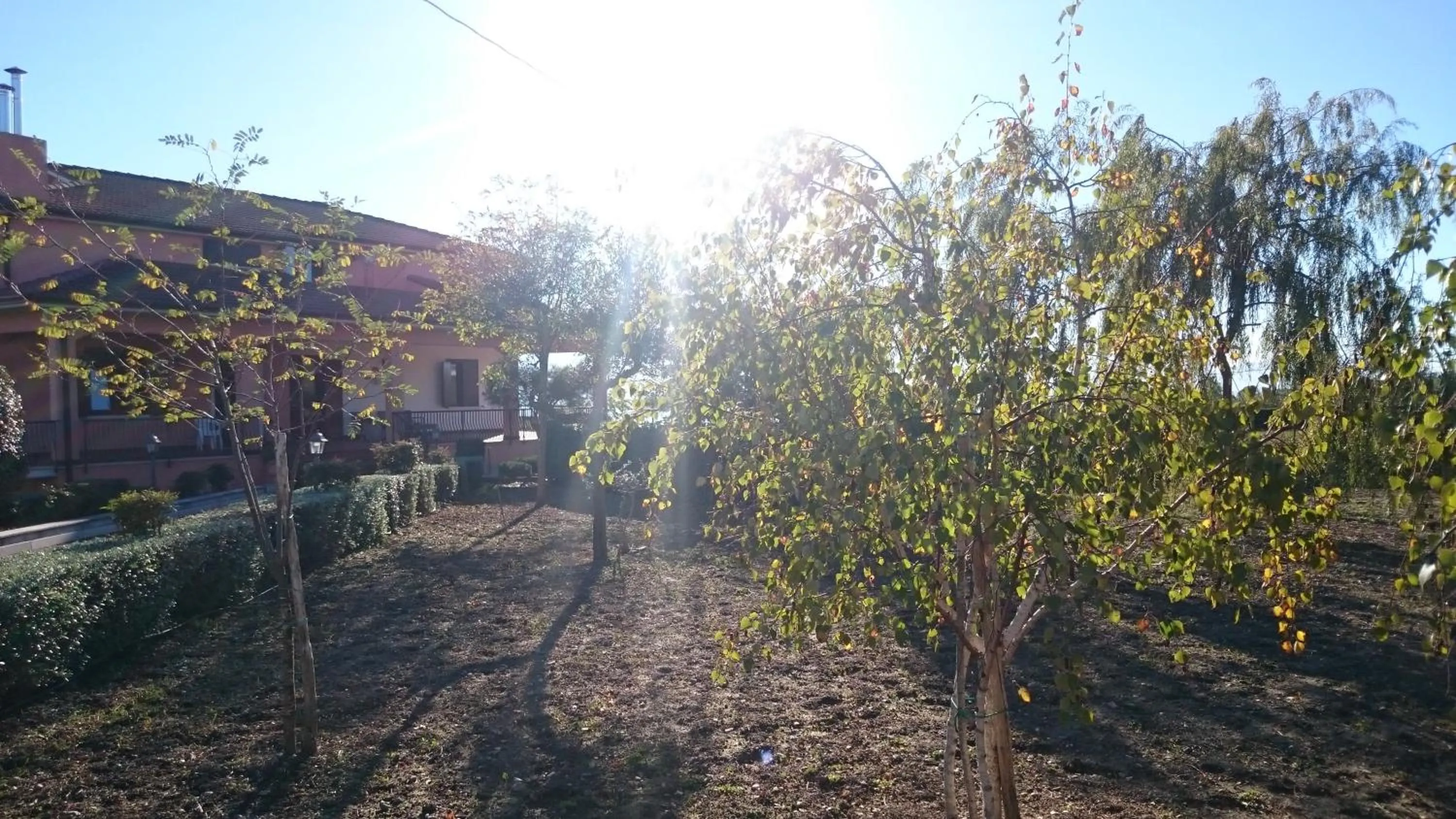 Garden view in B&B Verde Irpinia