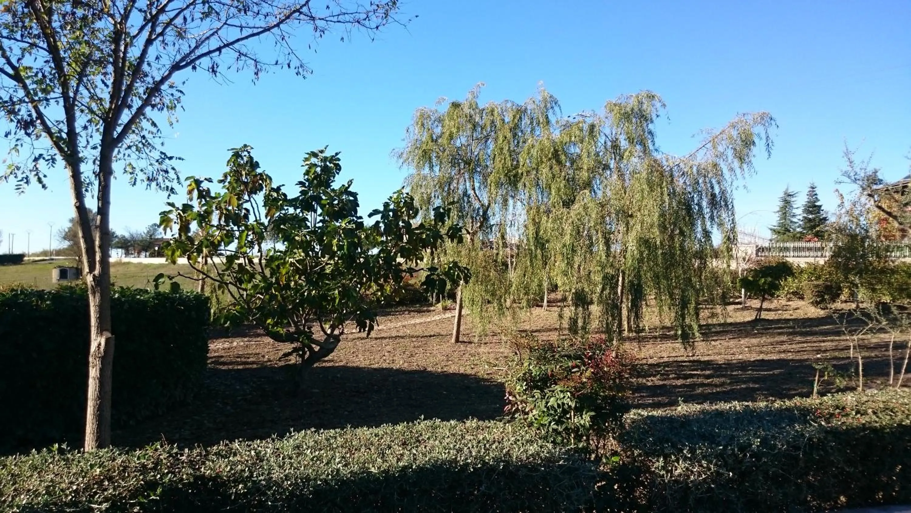 Garden view in B&B Verde Irpinia