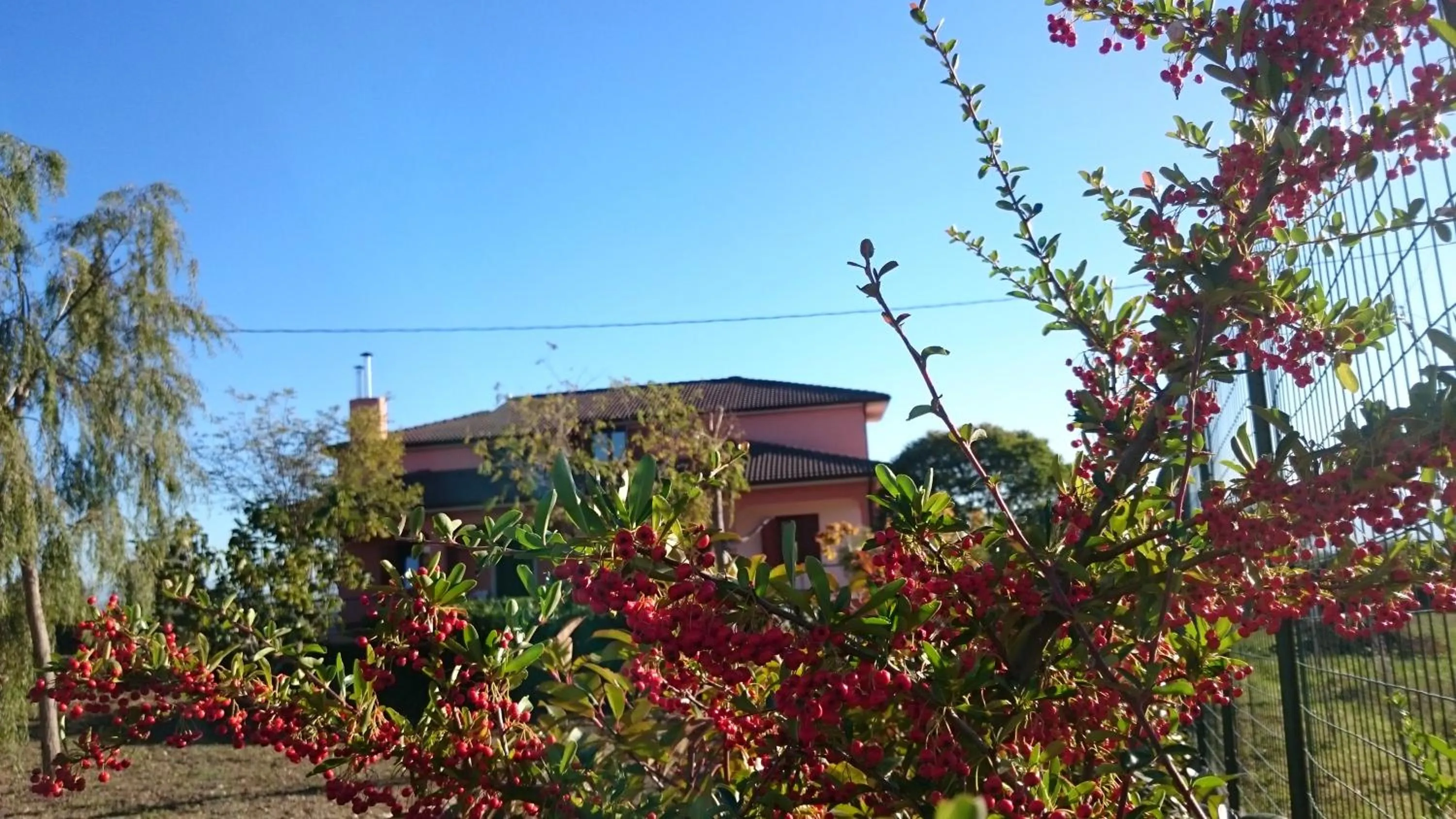 Garden view in B&B Verde Irpinia