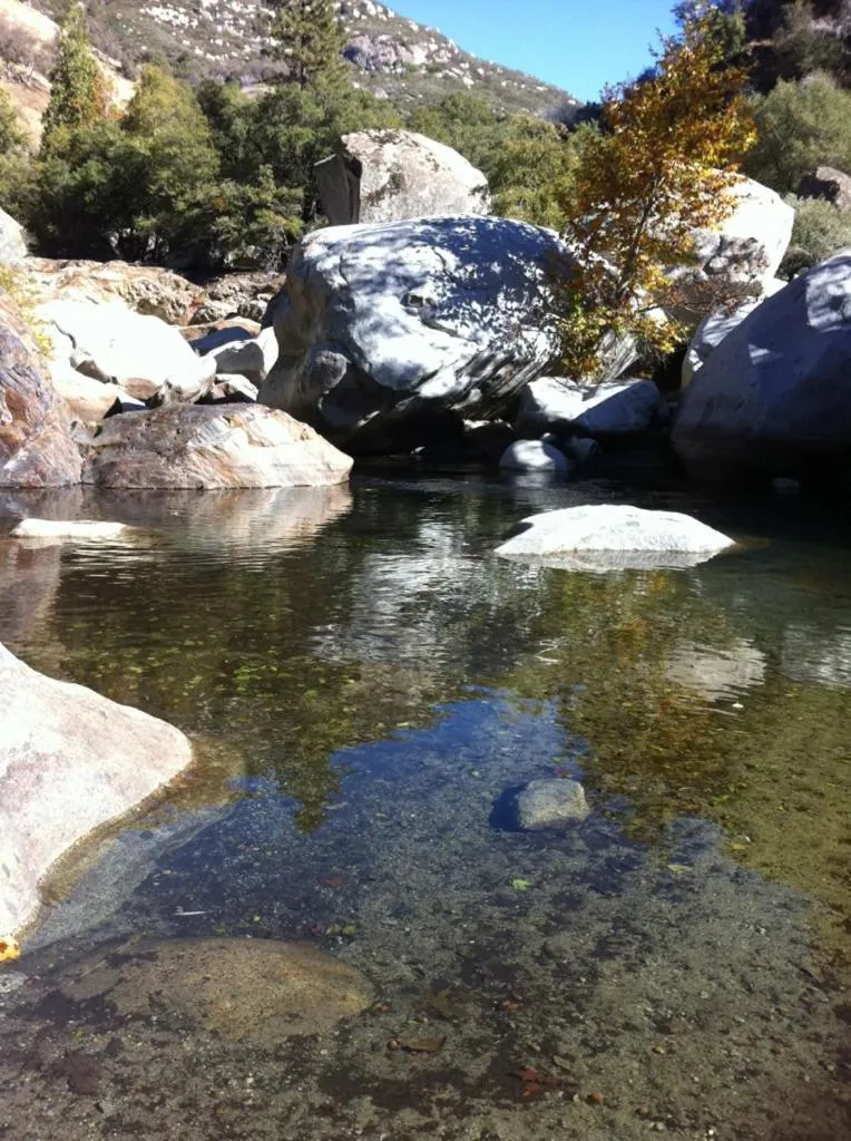 Other in Alta Peak Vista