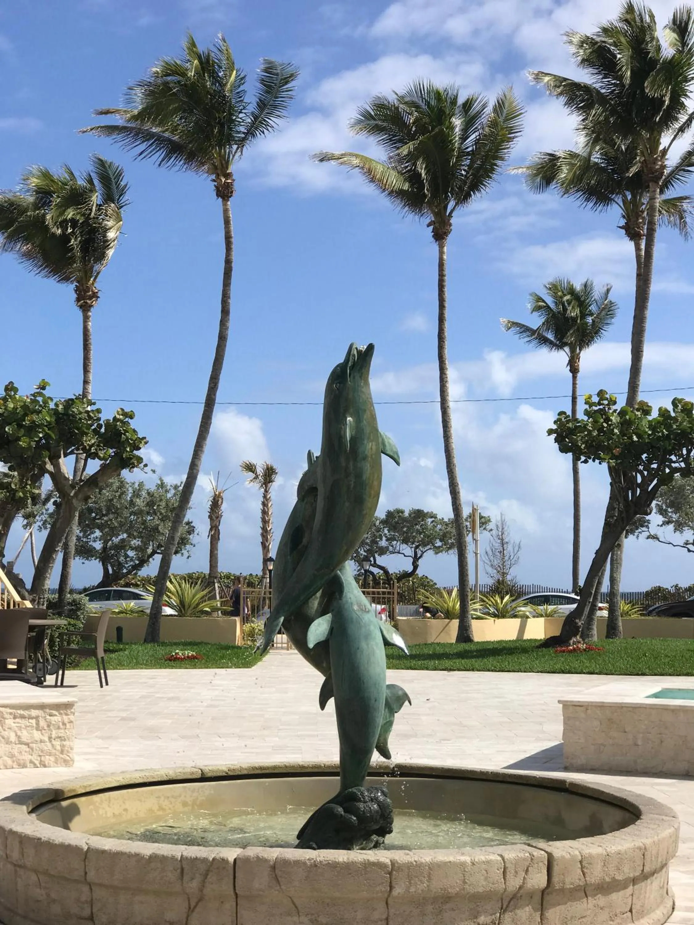 Garden view in The Dover House Resort