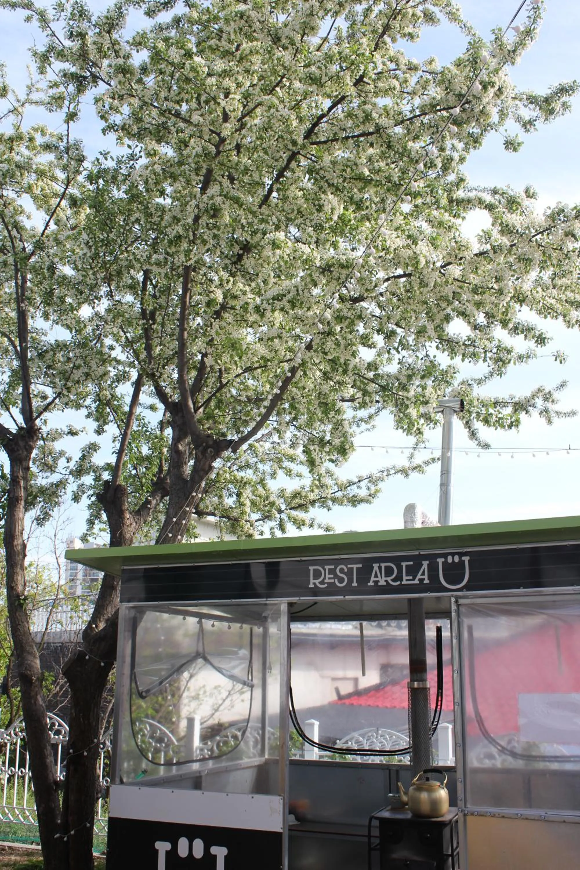 Natural landscape in With U Hotel & Guesthouse