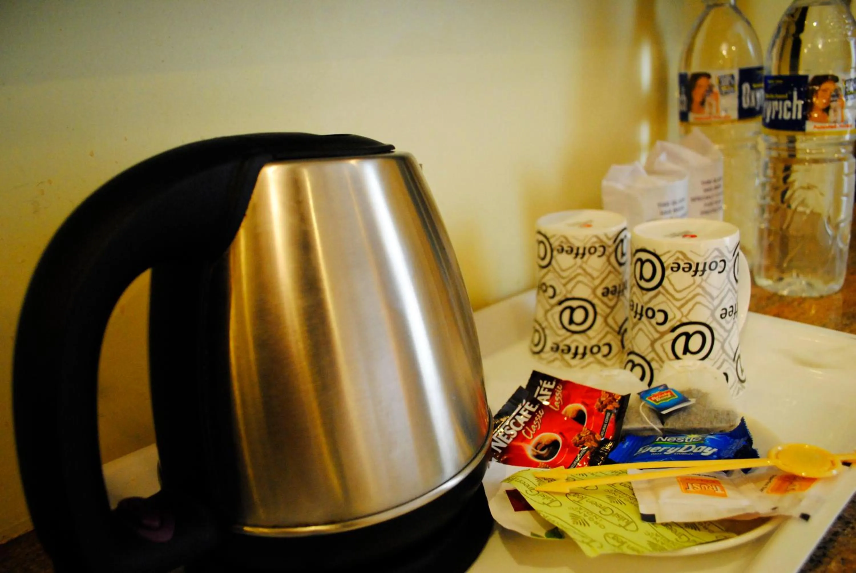 Decorative detail in Viceroy Inn Dehradun