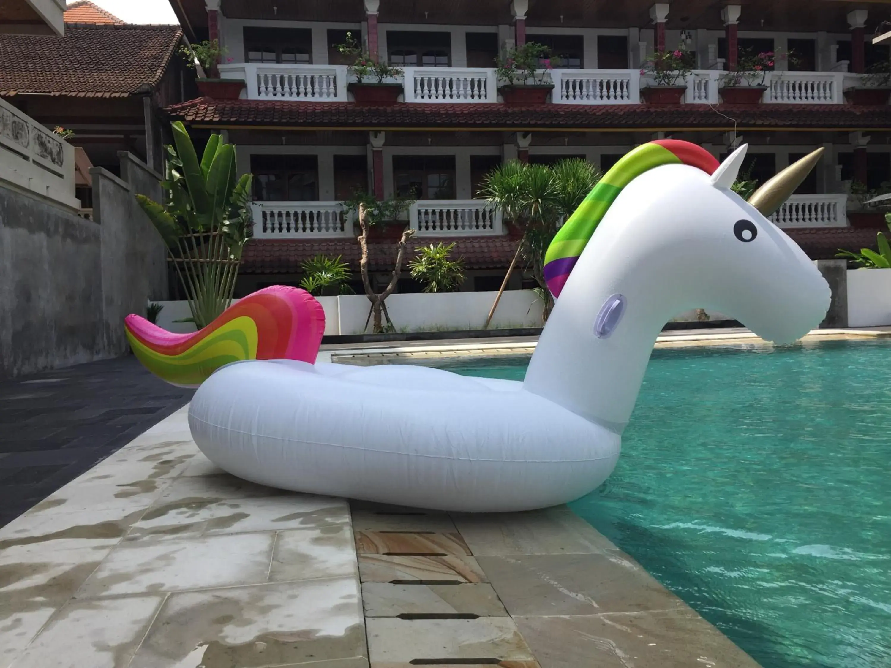 Swimming pool in Palm Garden Kuta Swimming pool in Palm Garden Kuta