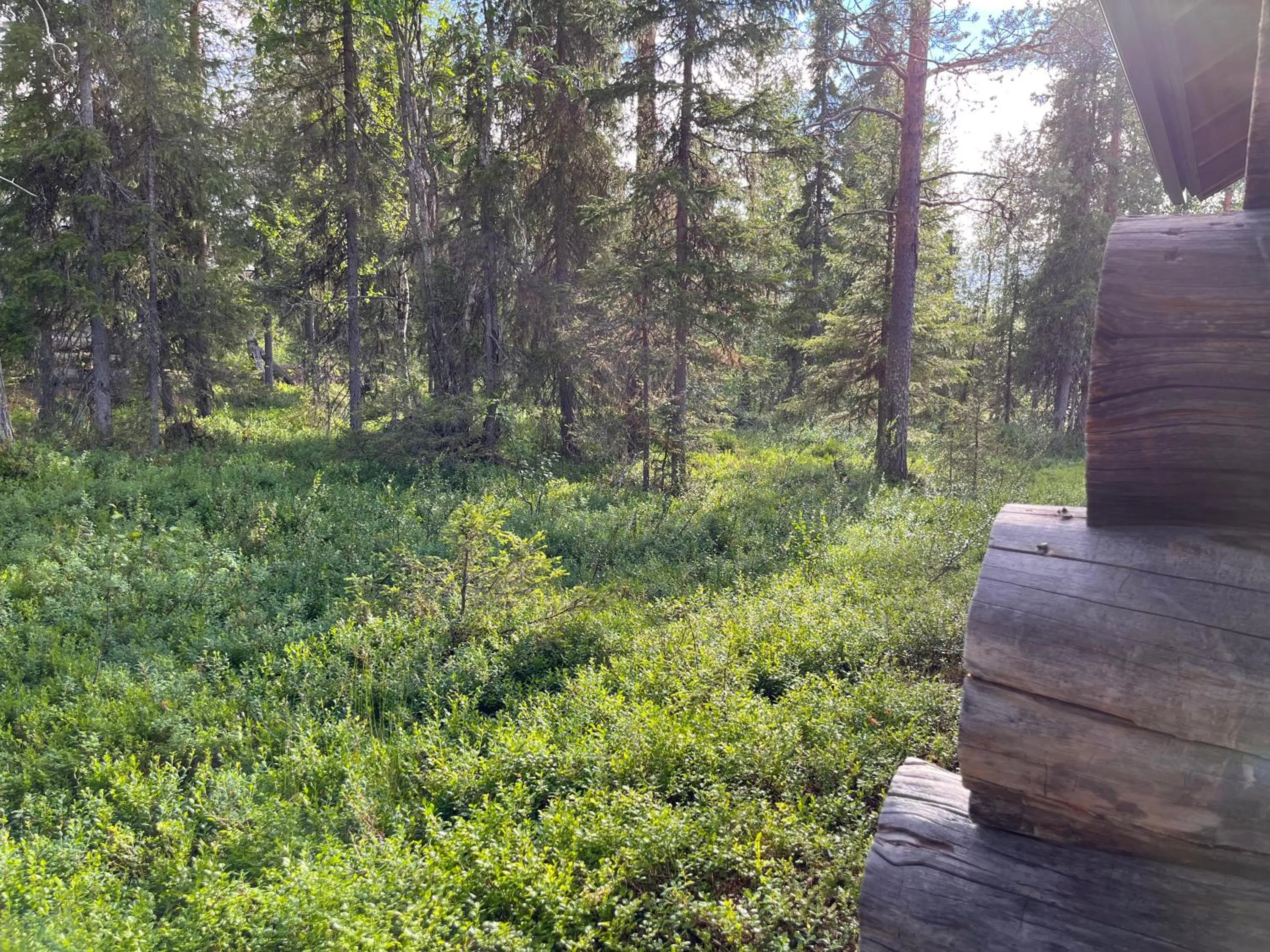 Kelomaja Ylläs