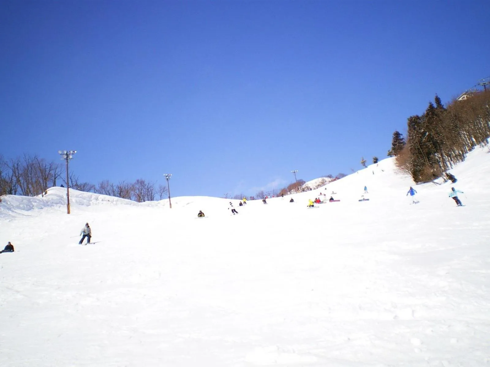 Skiing in Resort Inn Murata