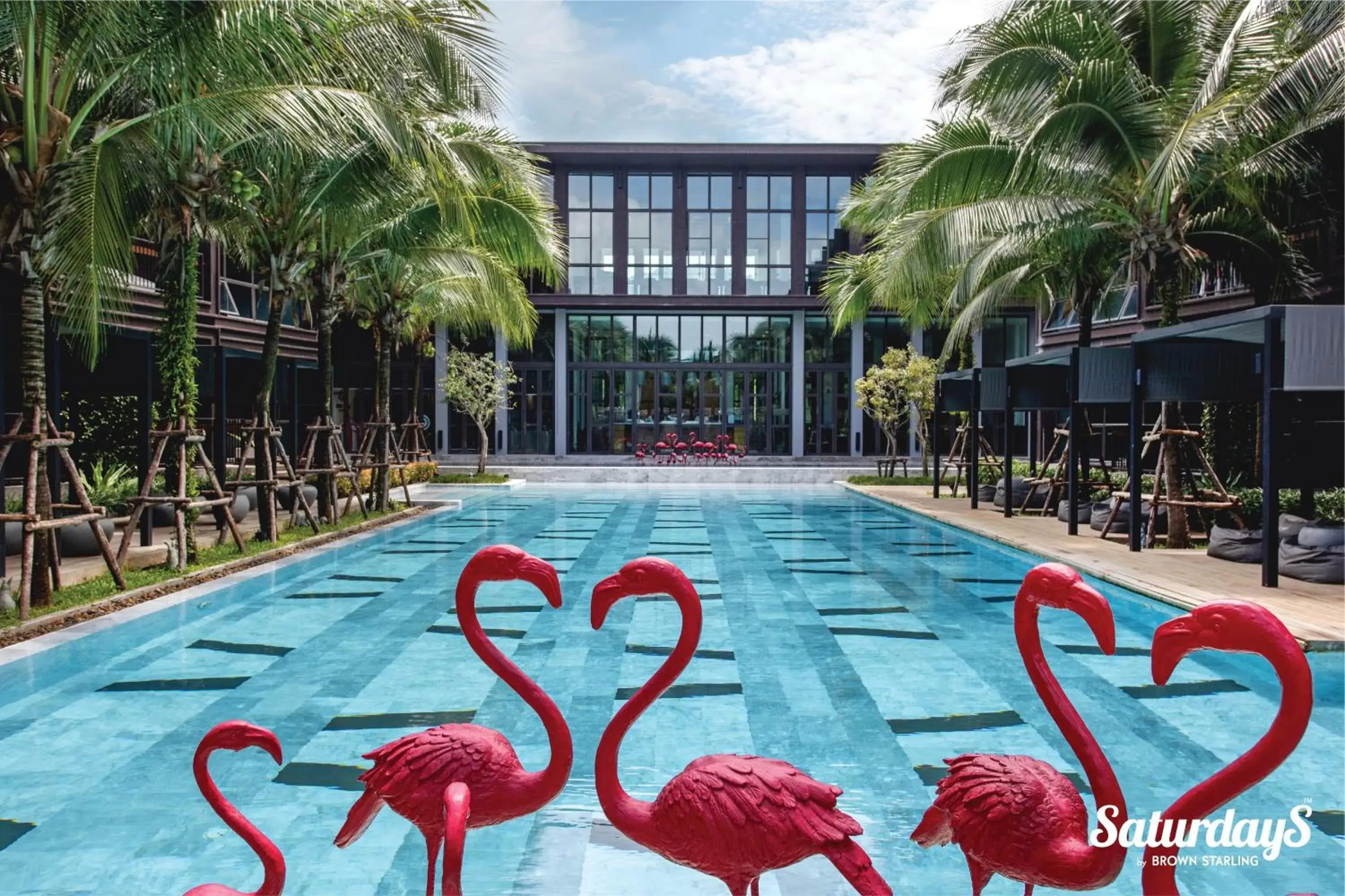 Swimming pool in Saturdays Residence by Brown Starling Swimming pool in Saturdays Residence by Brown Starling