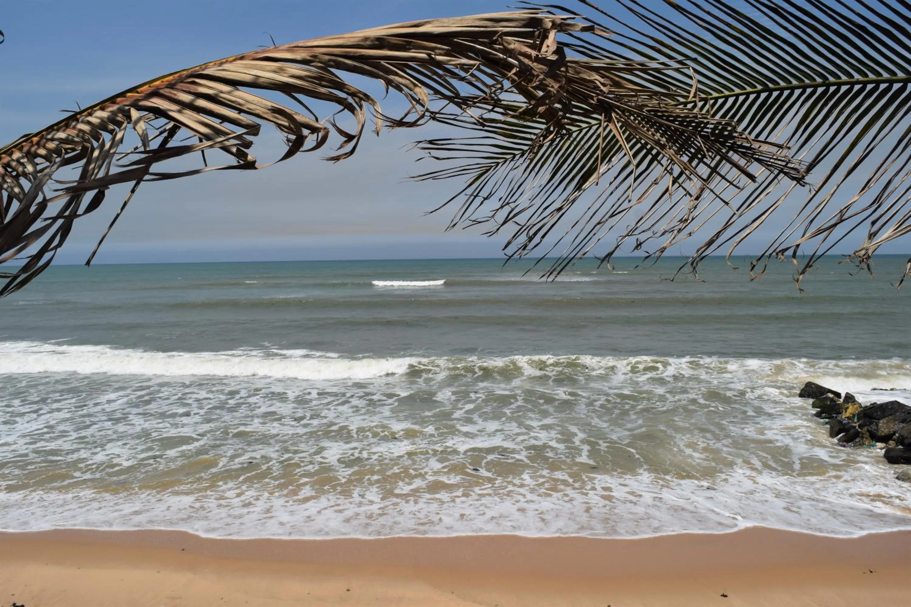 Beach in Coconut Pointe Villa & Beach Resort