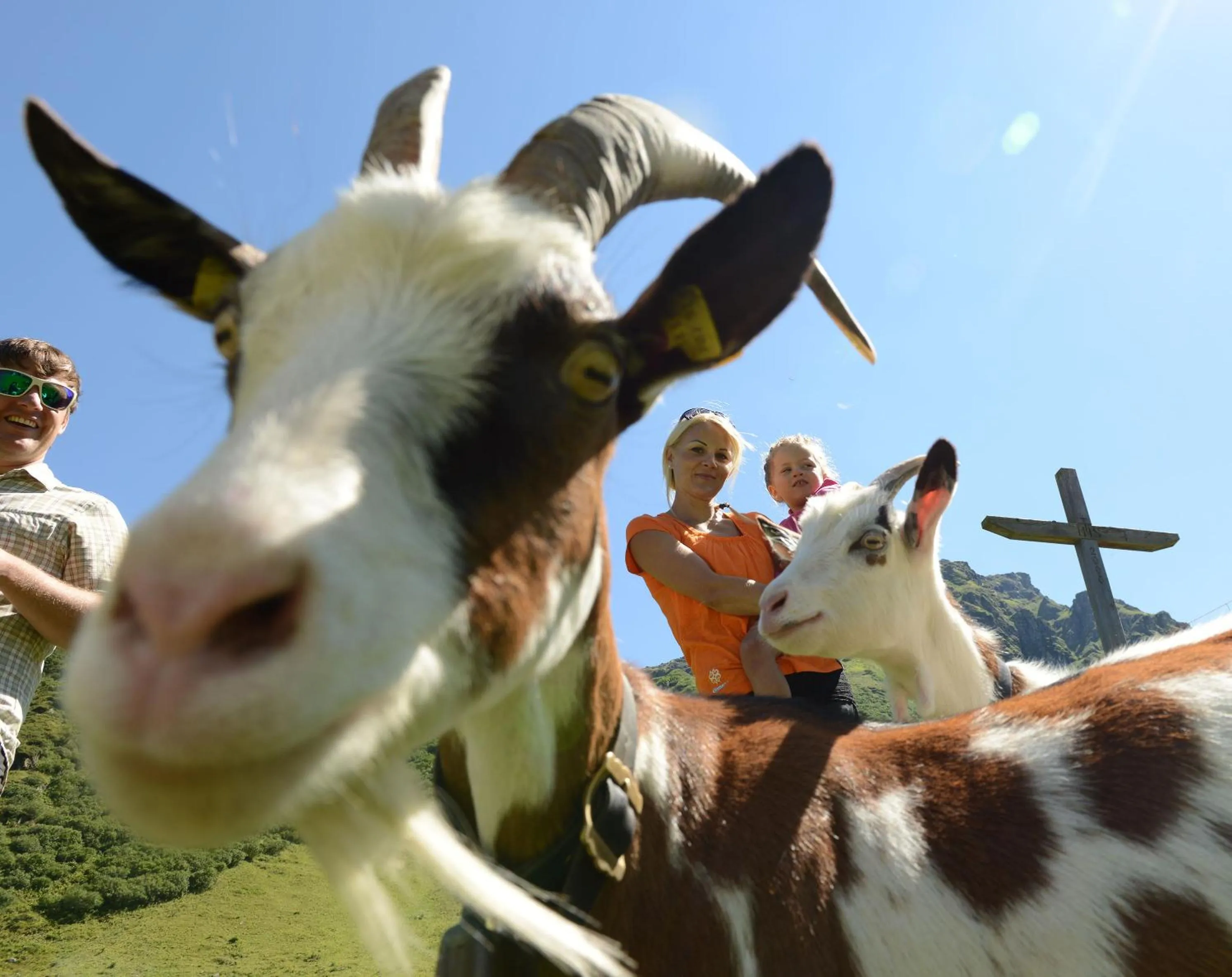 Natural landscape in Sporthotel Chalet