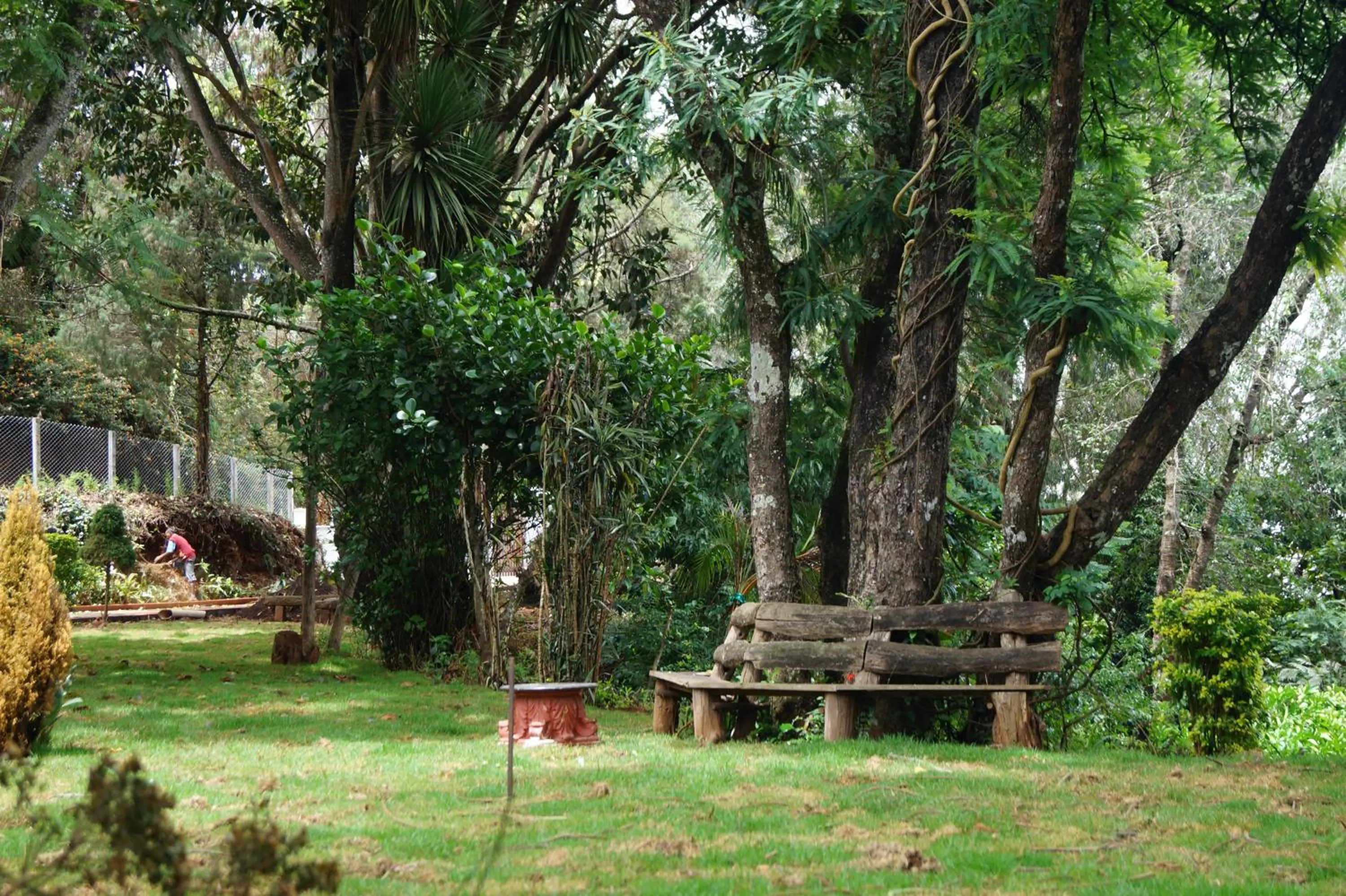 Fairy Glen