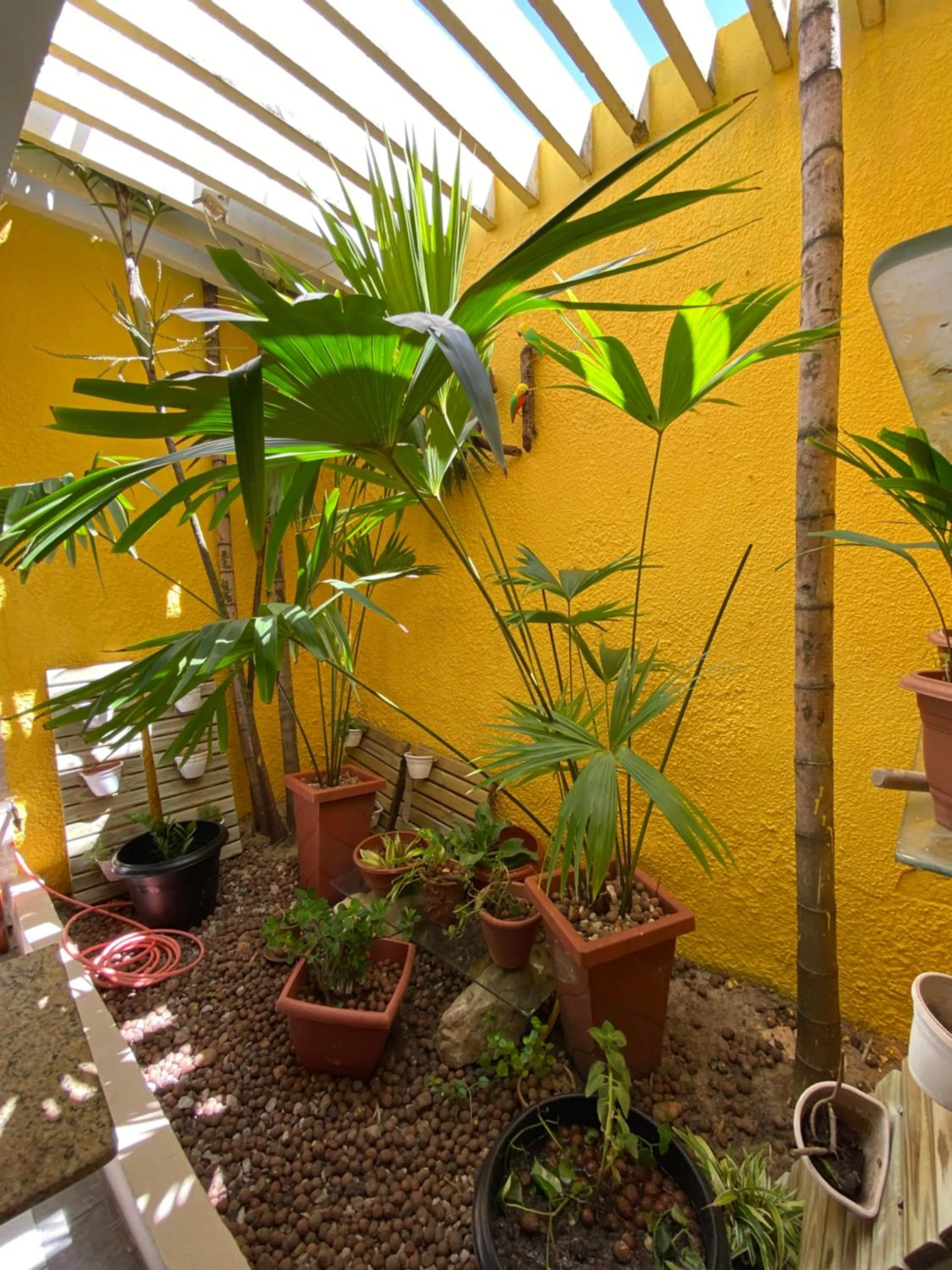 Decorative detail in Center 1 Hotel