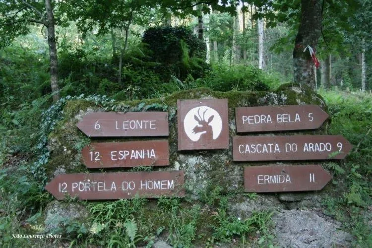 Casa Vilar