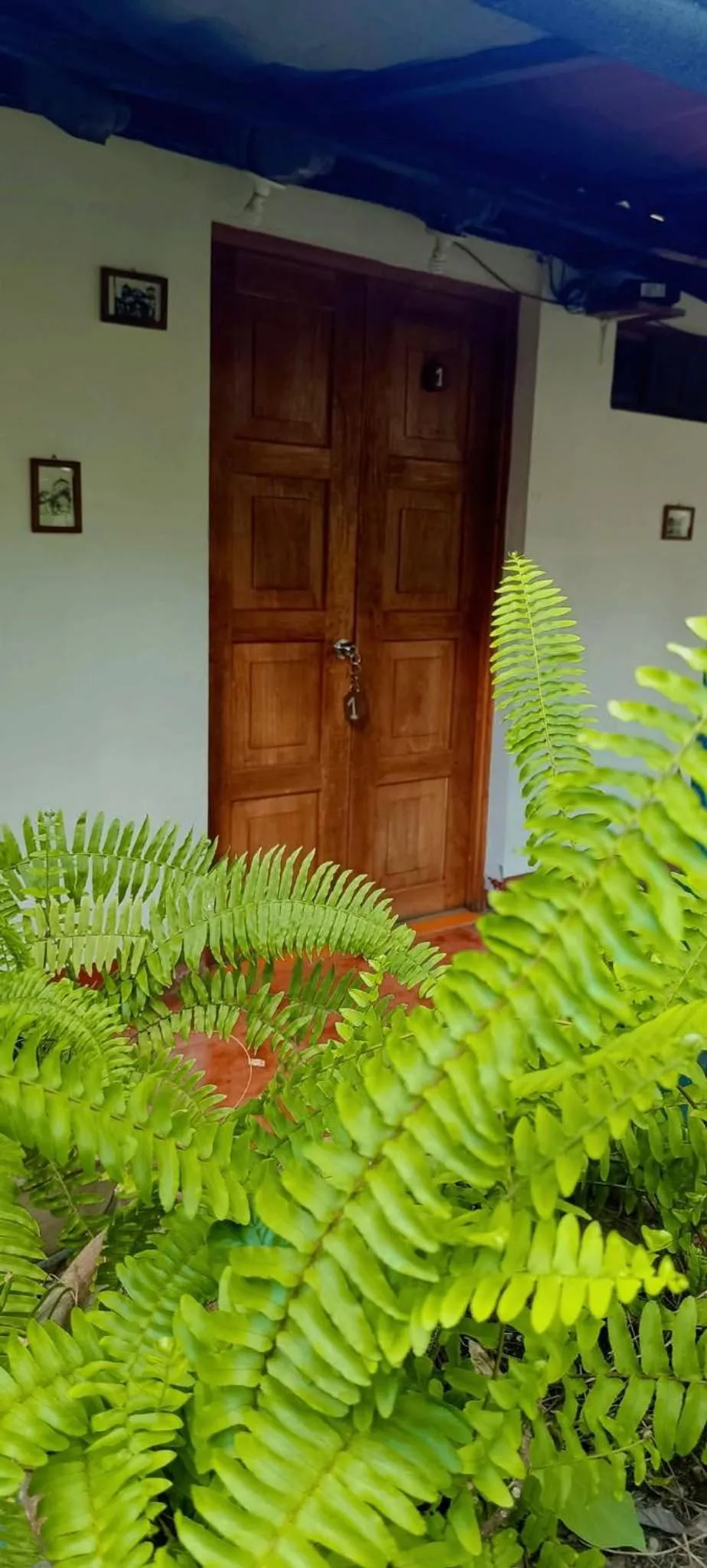 Property building in Casa de Los Berrios