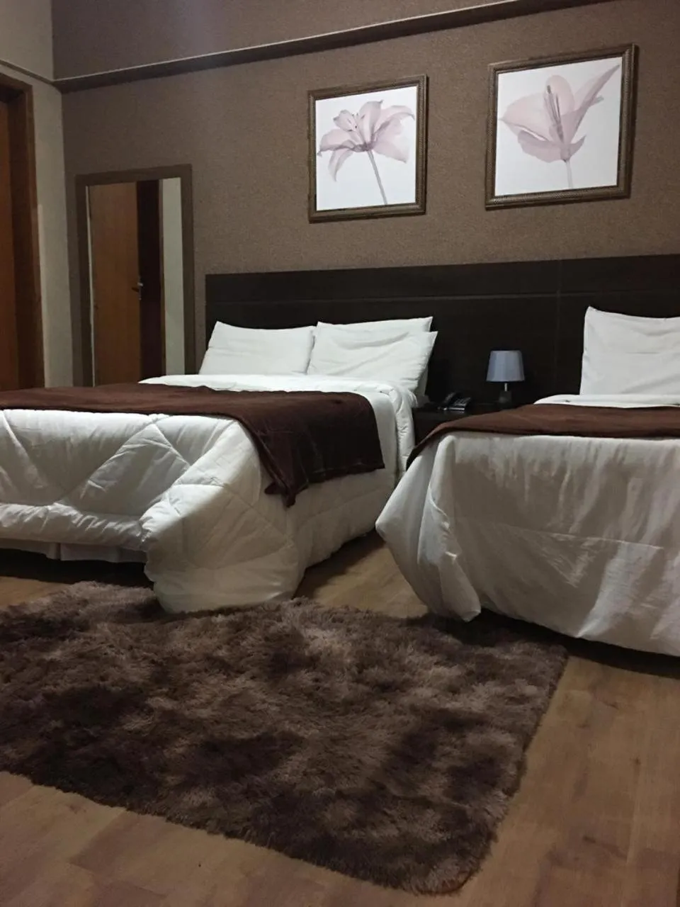 Deluxe Room - single occupancy in Hanna Palace Hotel