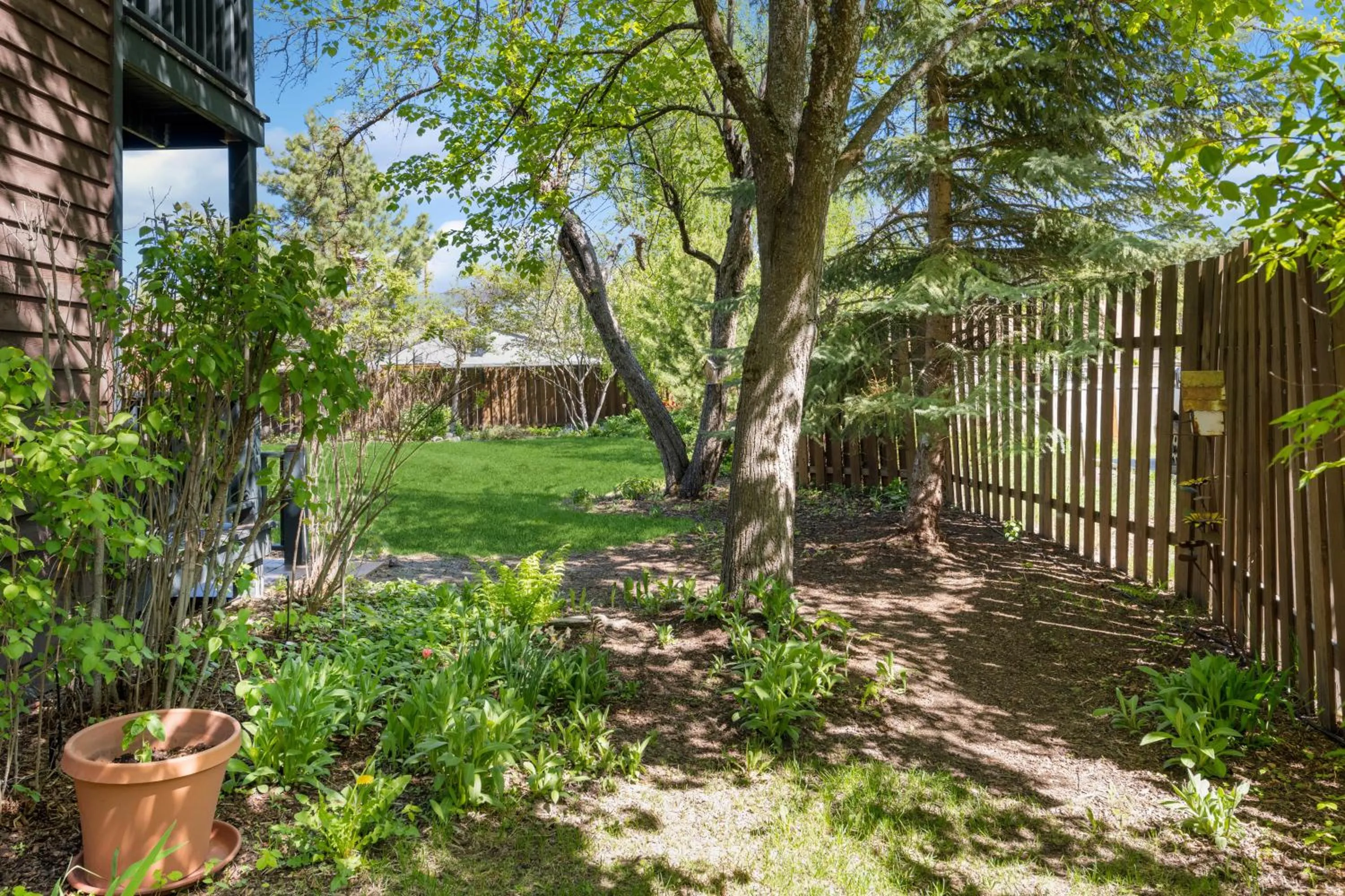 Natural landscape in Good Medicine Lodge