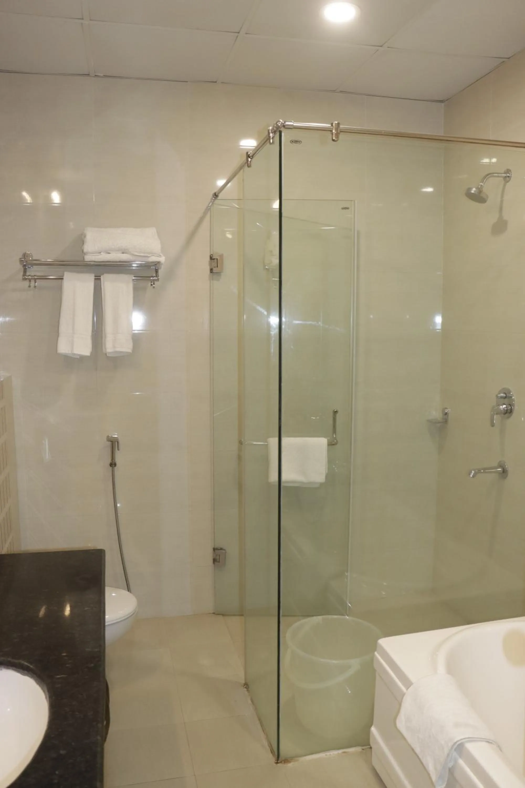 Shower in The Rajgir Residency