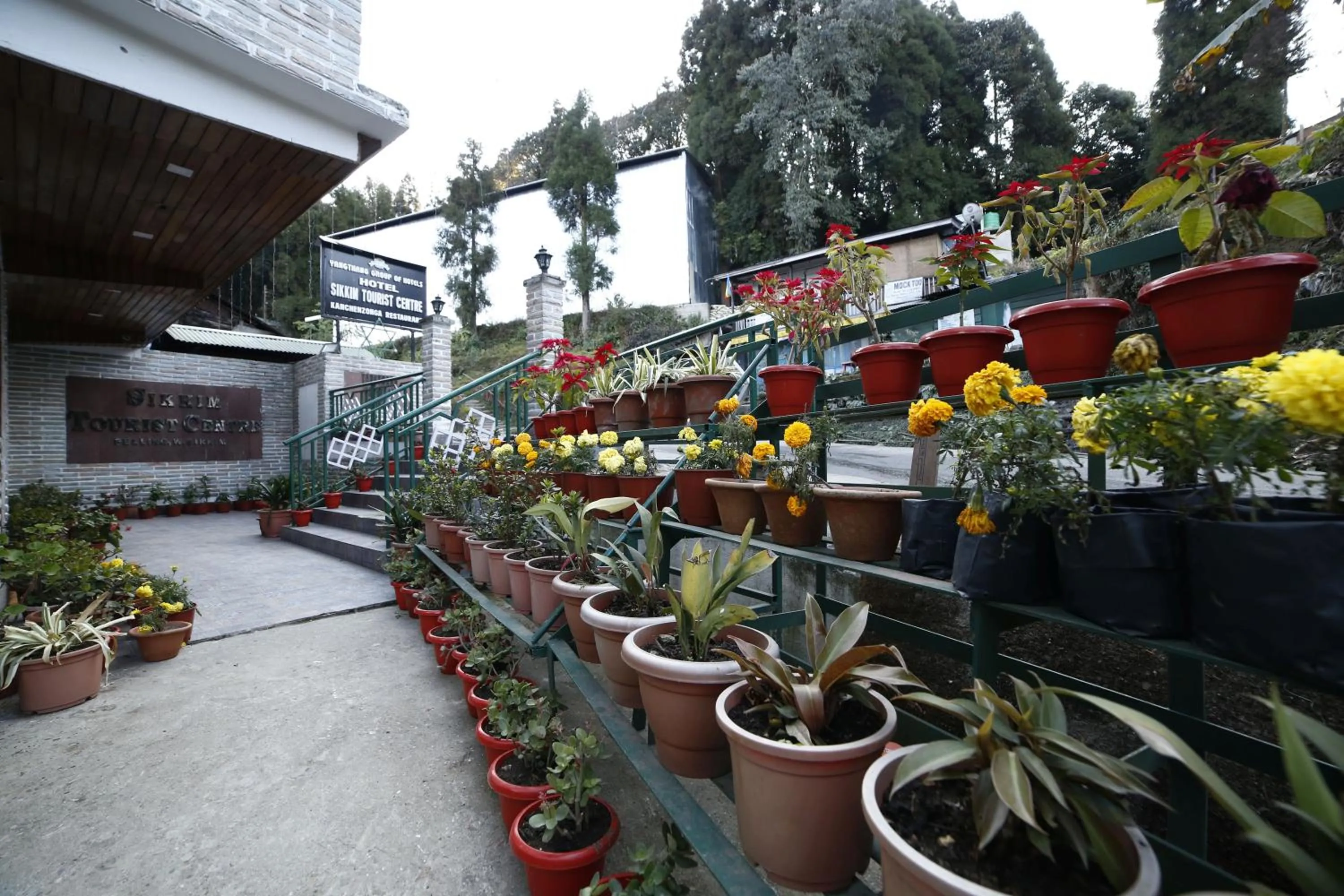 Garden view in Sikkim Tourist Centre