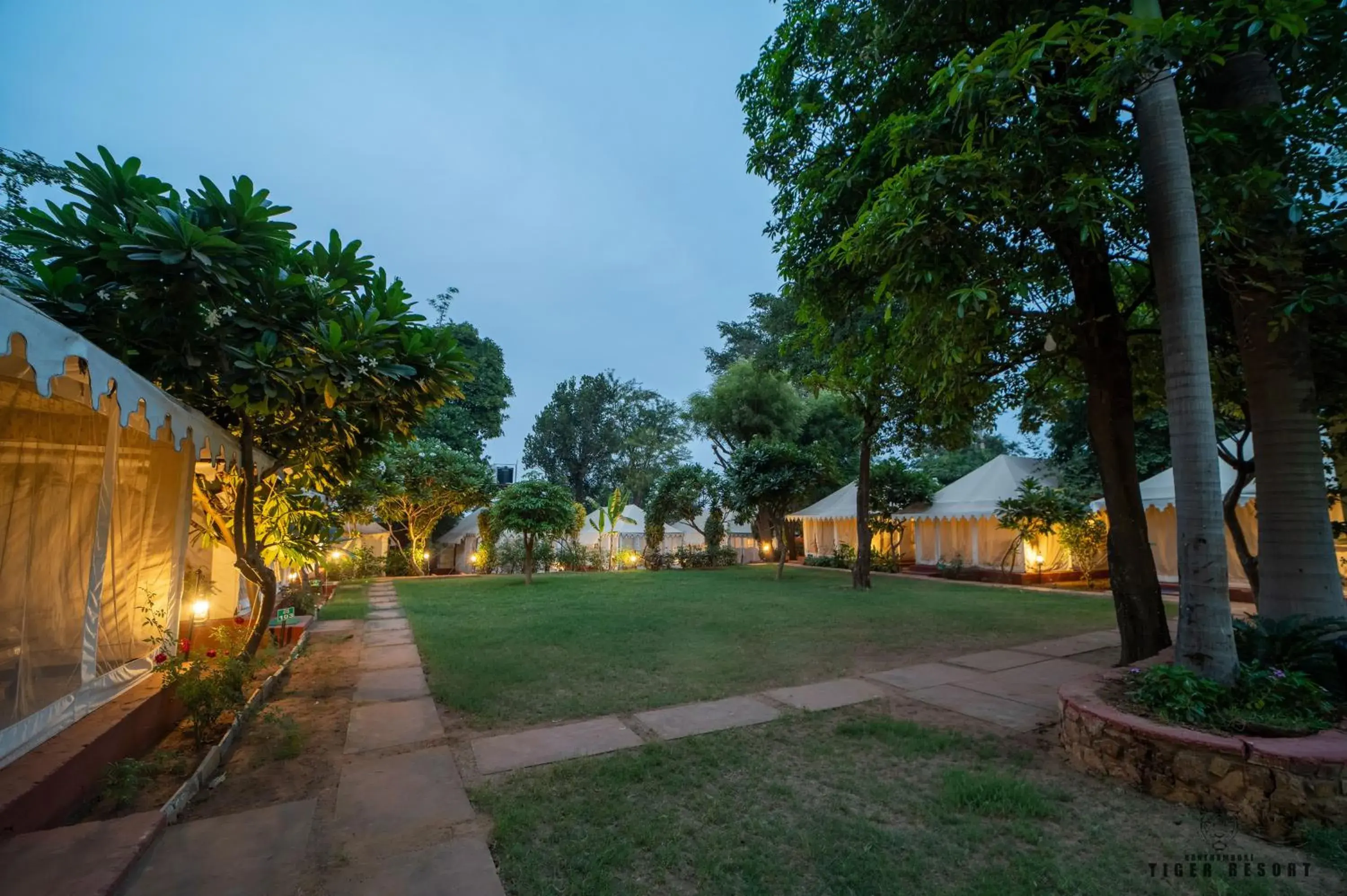 Deluxe Double Room in Ranthambore Tiger Resort Deluxe Double Room in Ranthambore Tiger Resort