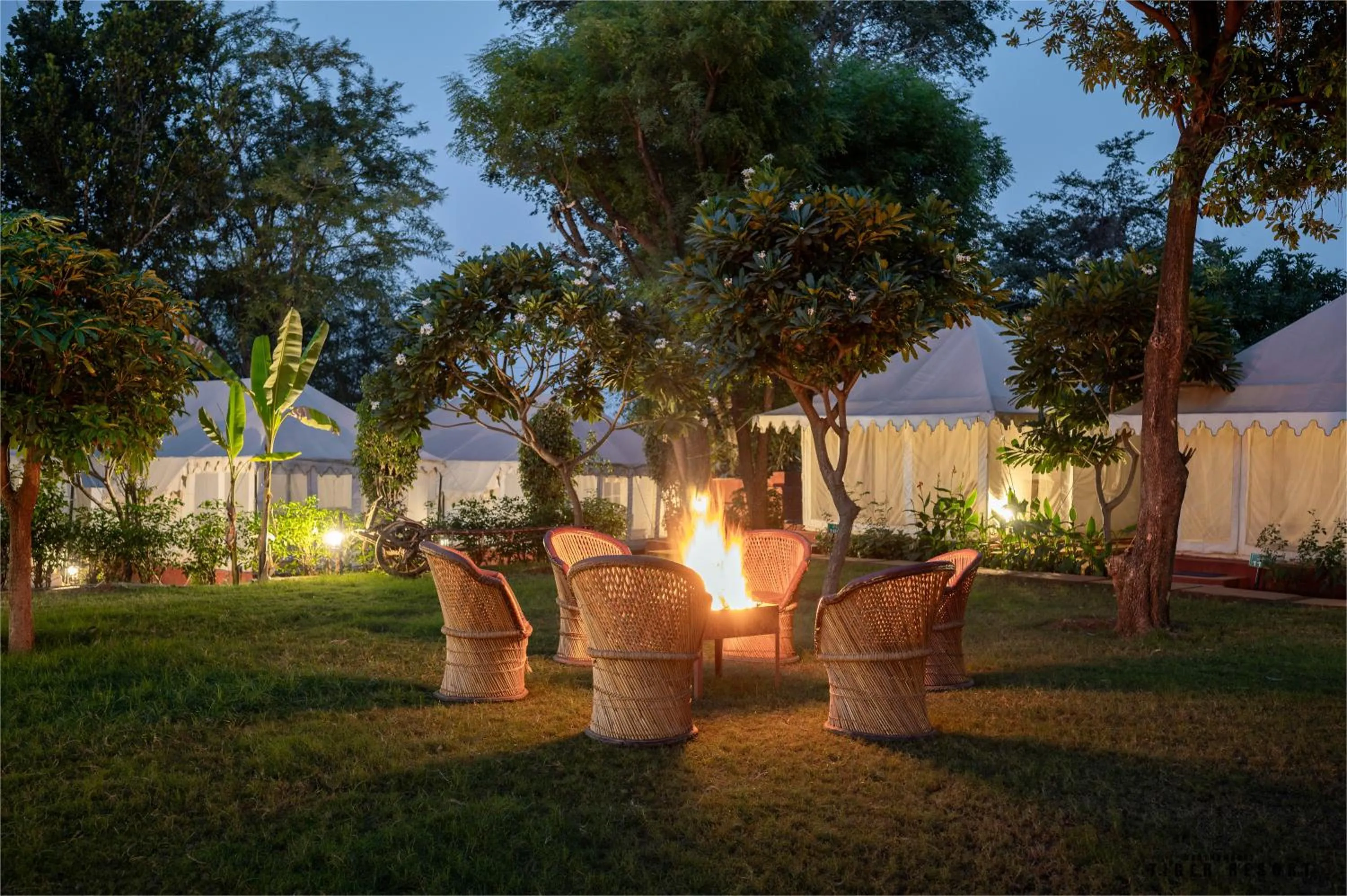 Night in Ranthambore Tiger Resort