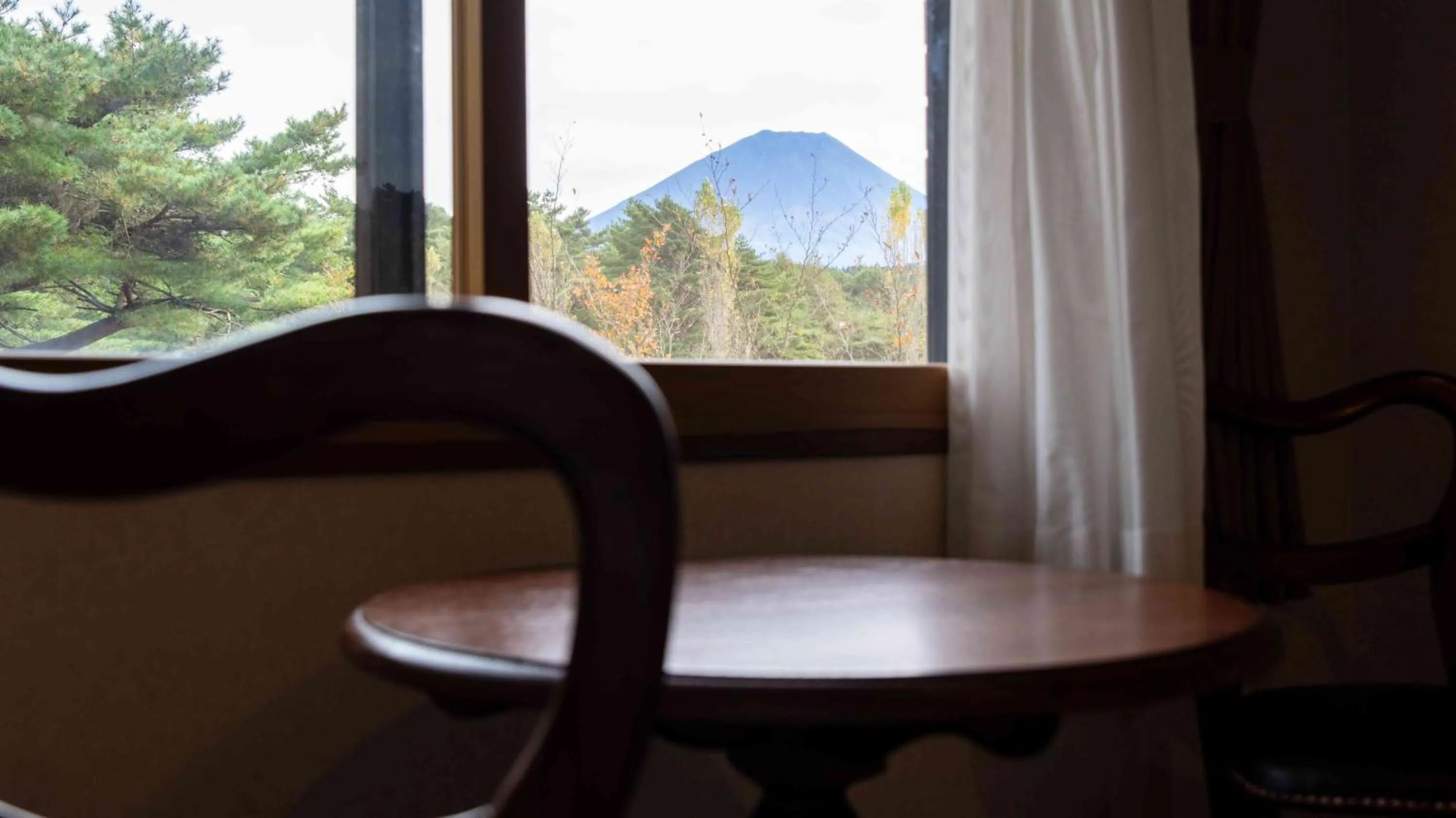 Mountain view in Motosu Phoenix Hotel