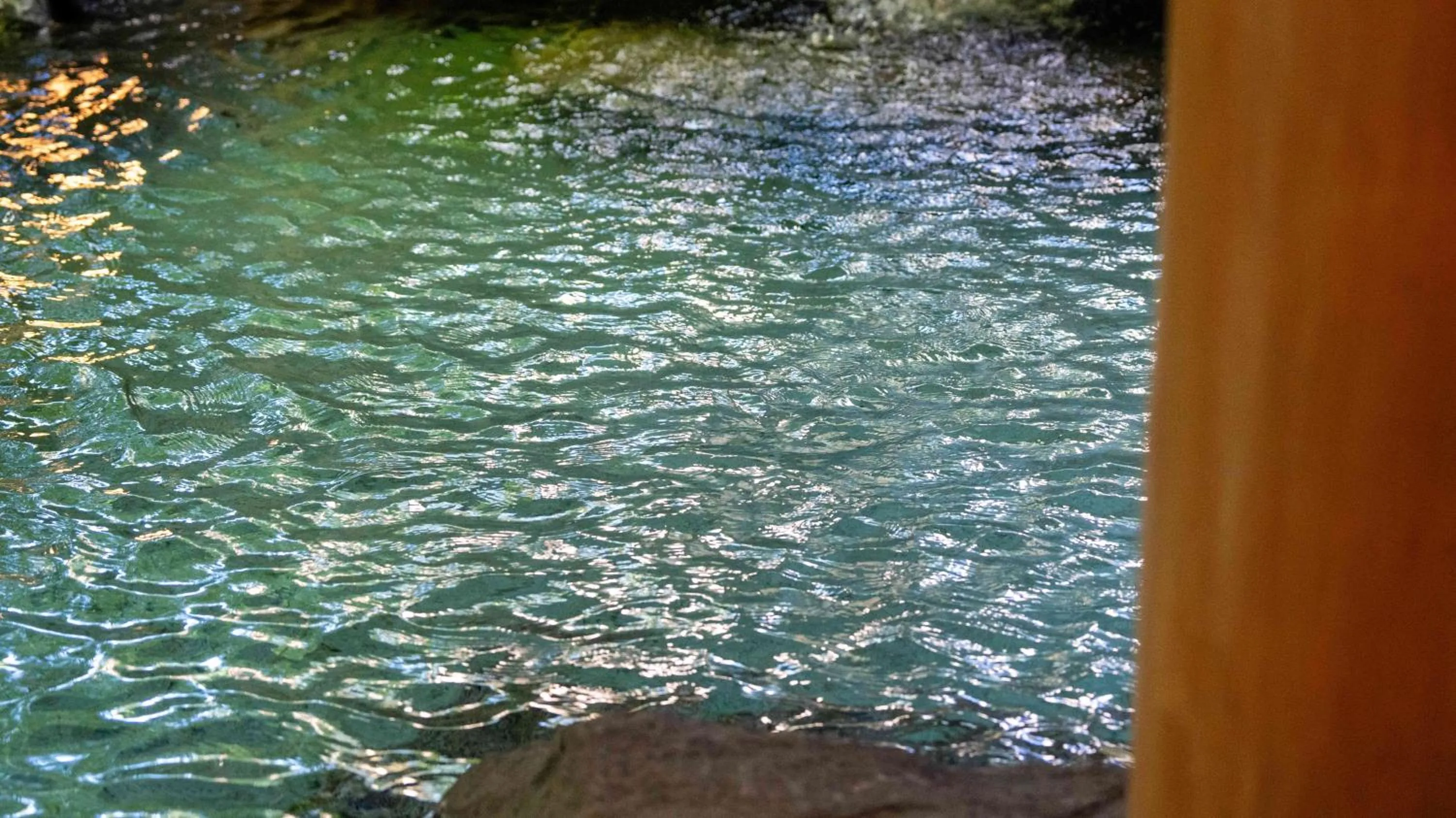Hot Spring Bath in Motosu Phoenix Hotel