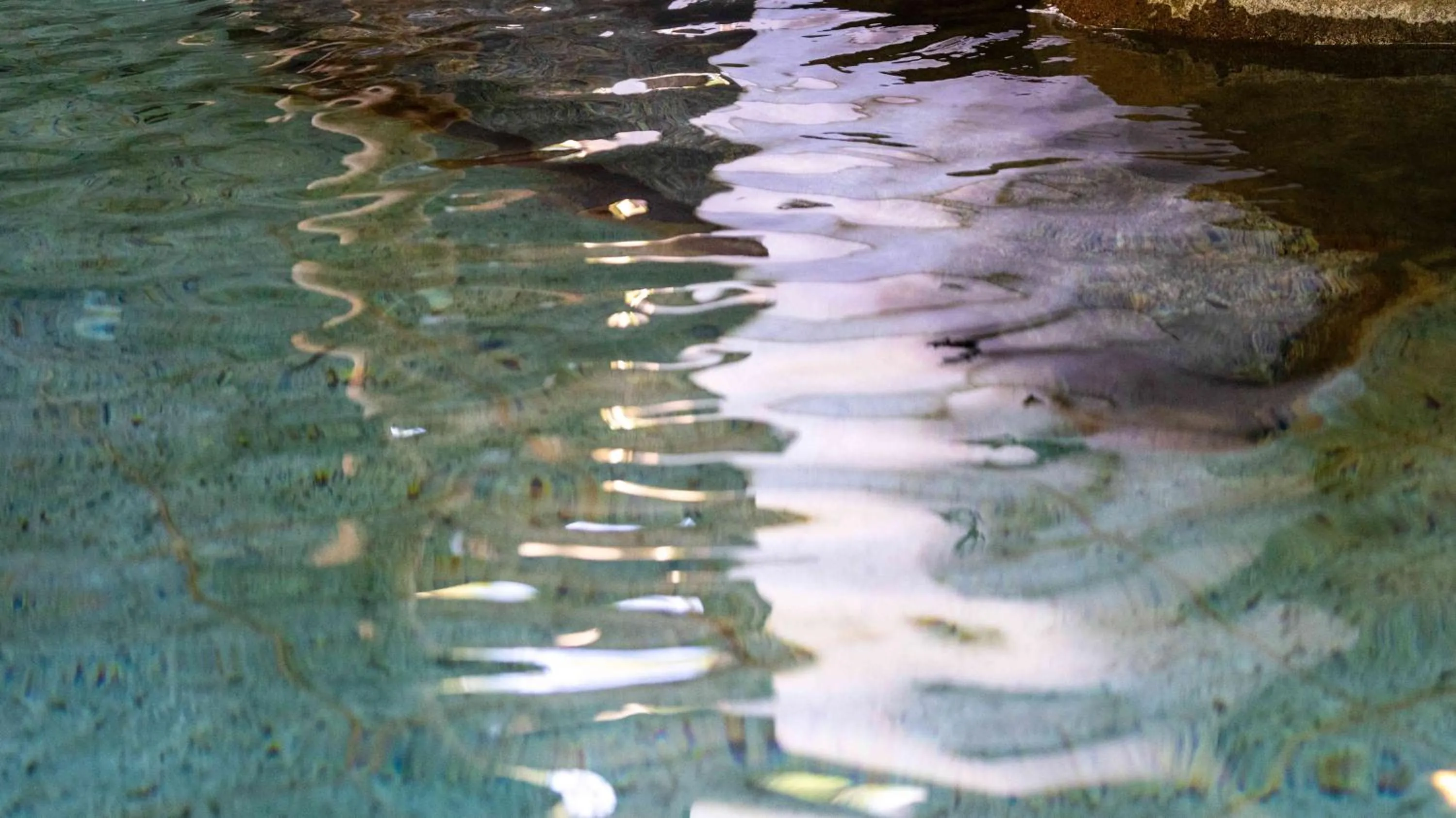 Day in Motosu Phoenix Hotel