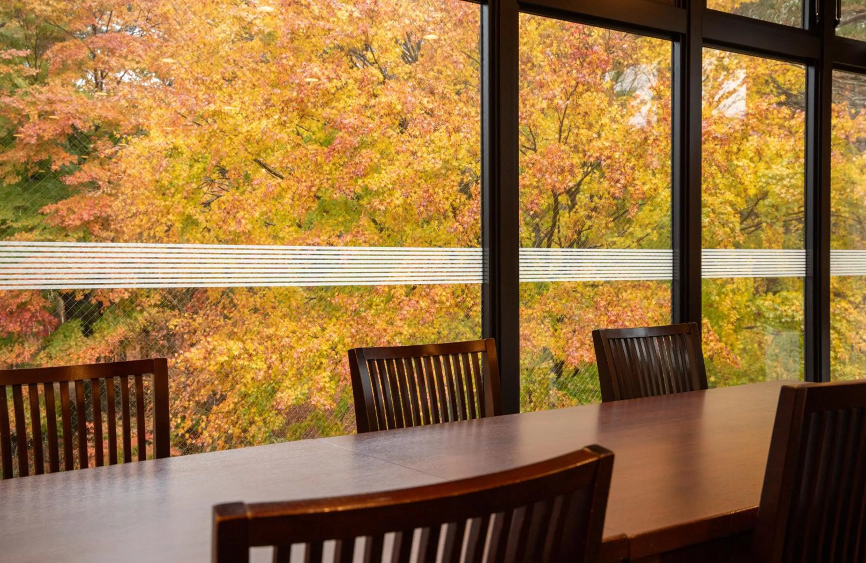 Dining area in Motosu Phoenix Hotel