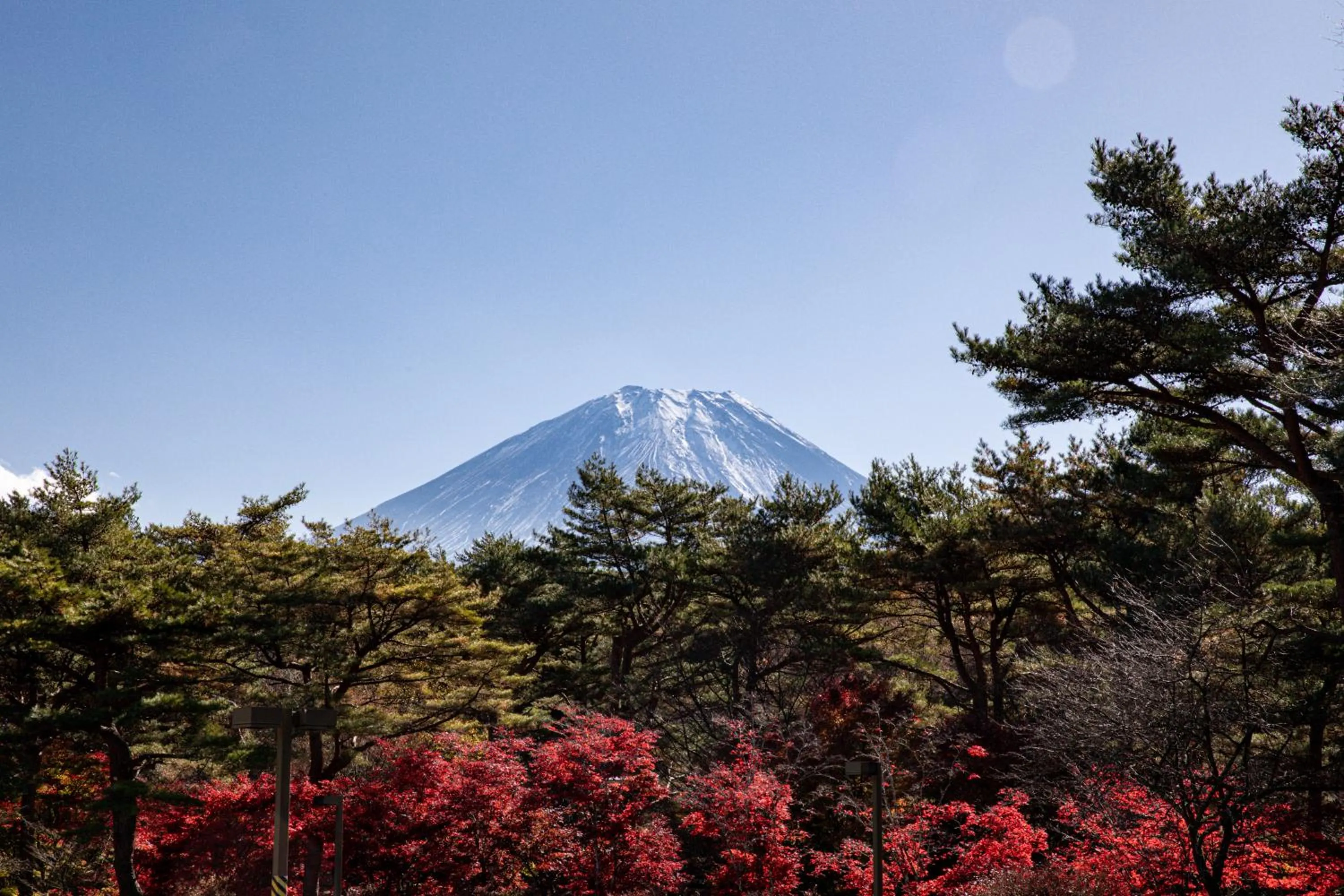 Day in Motosu Phoenix Hotel