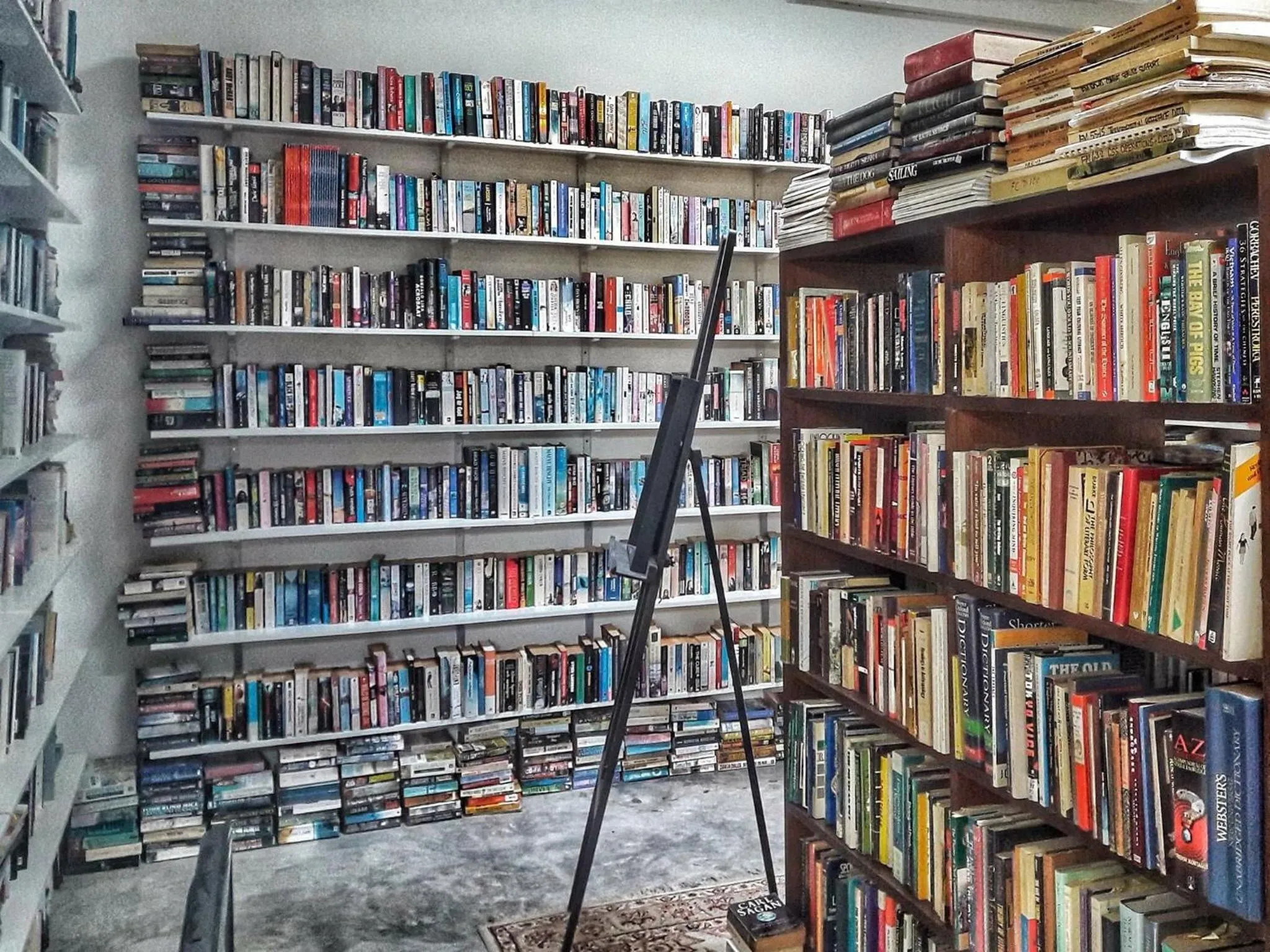 Library in Tree Roots Retreat