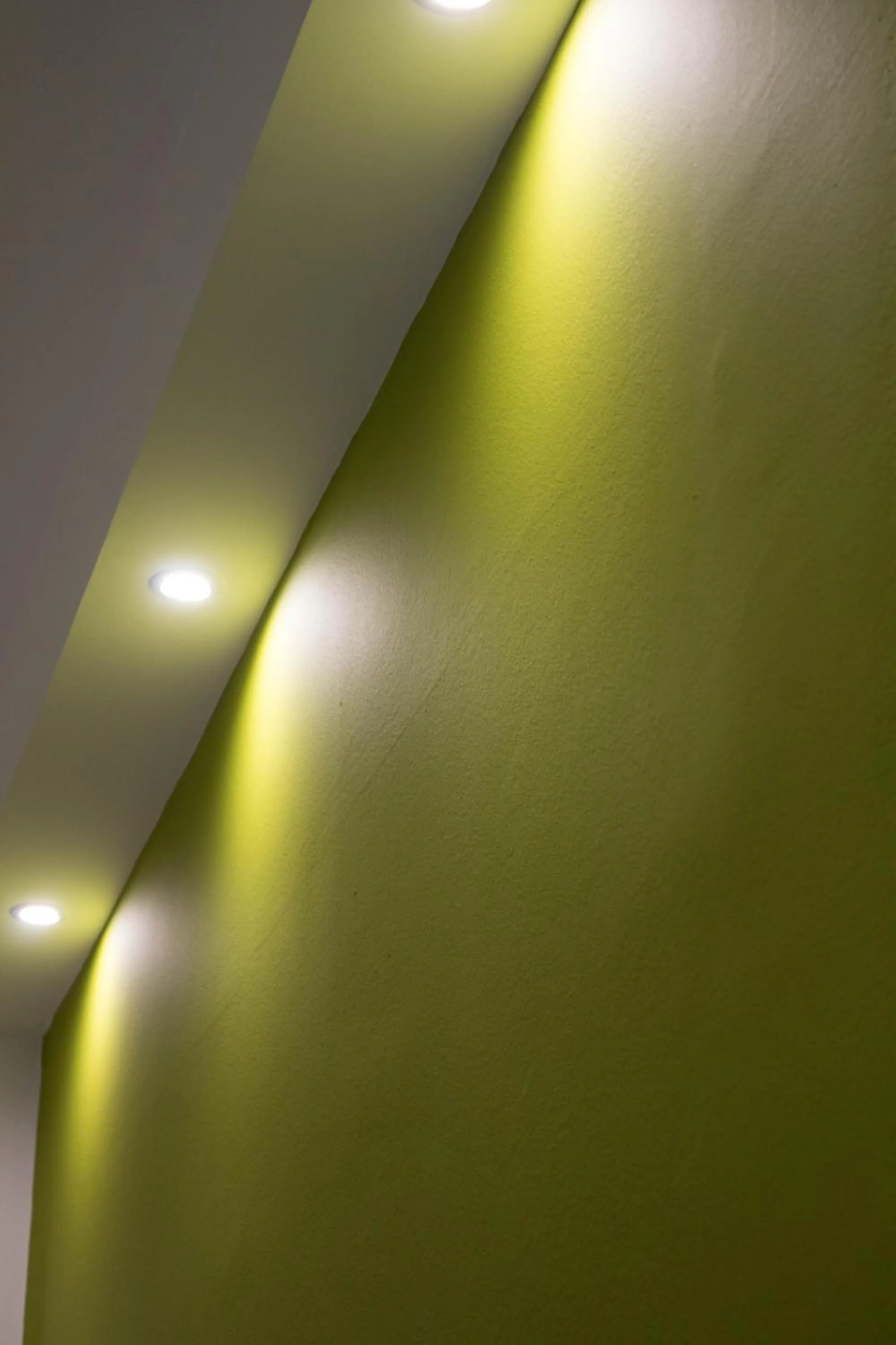 Residence Palazzo dei Delfini by RECEPTIO