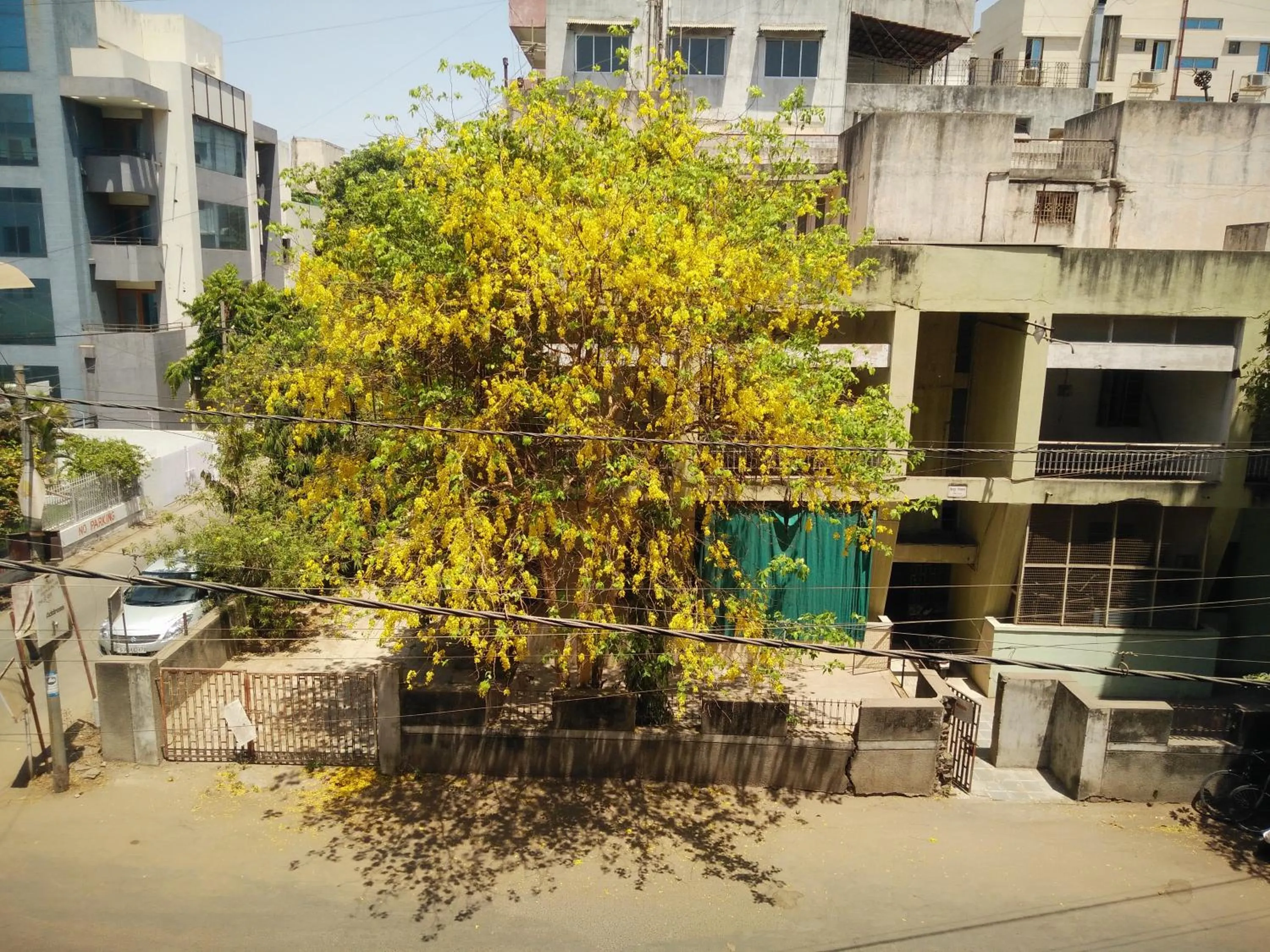 Street view in Hotel GRG