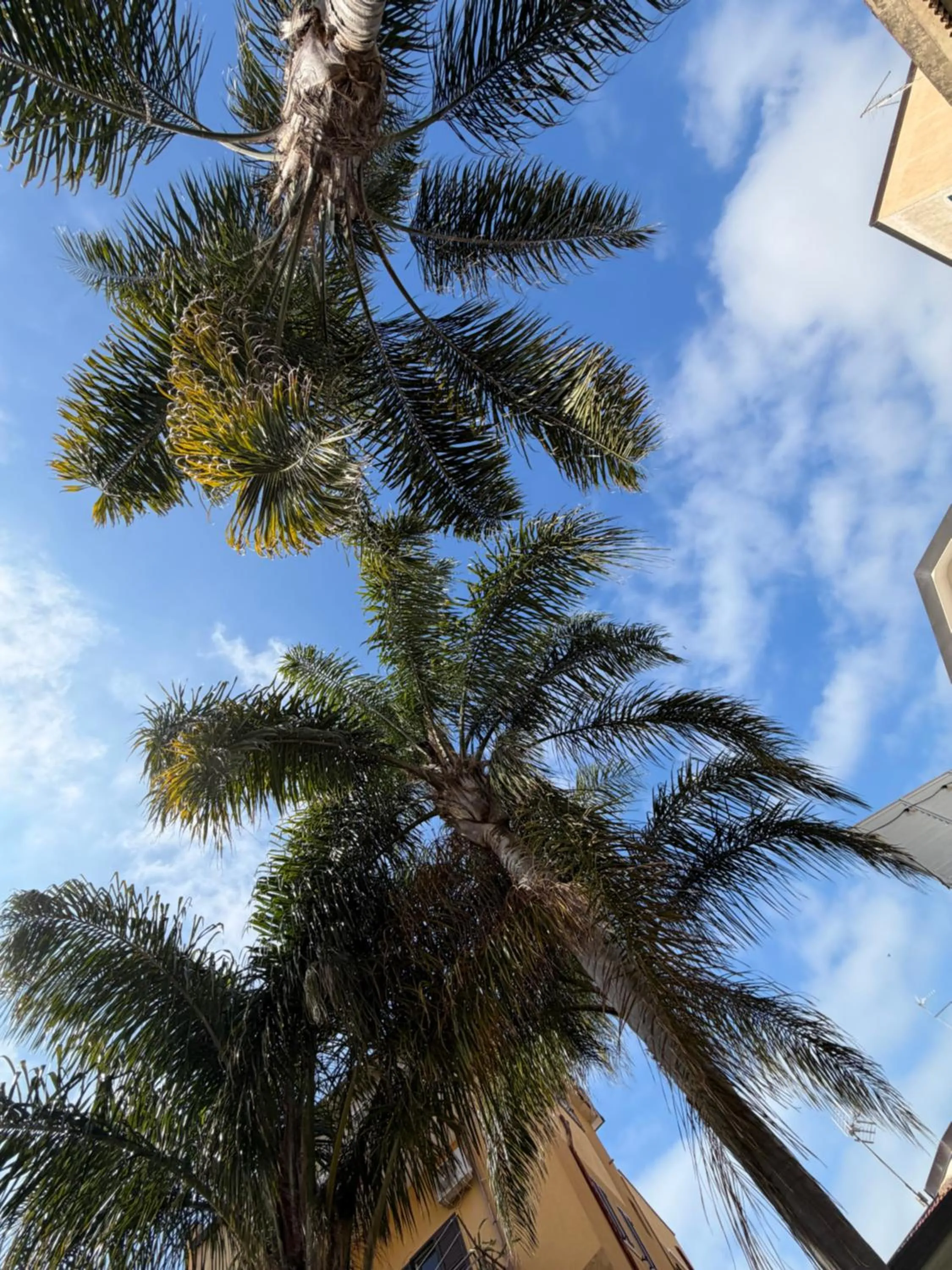 Villa Volli Three Rooms