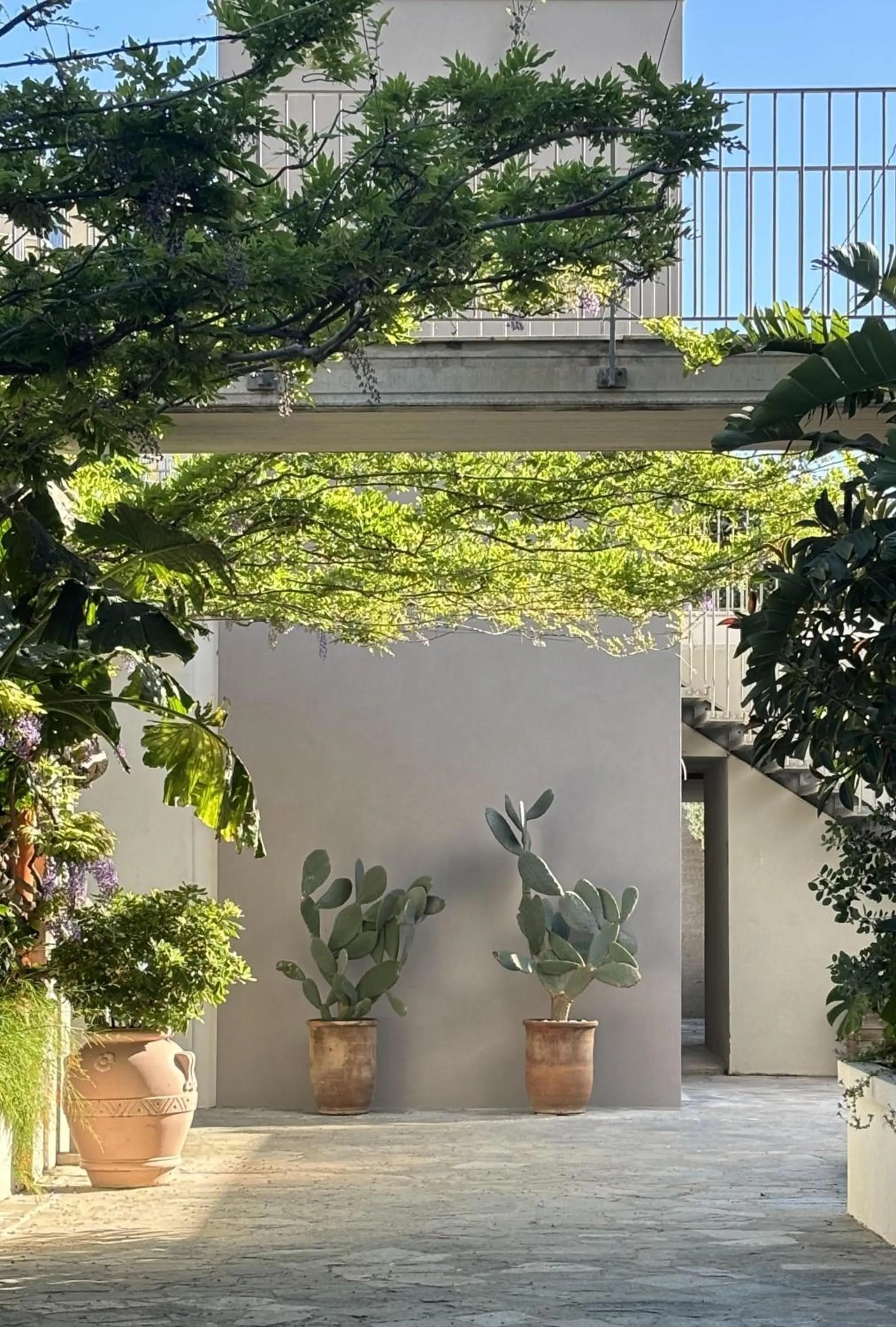 Garden in Ancora Resort