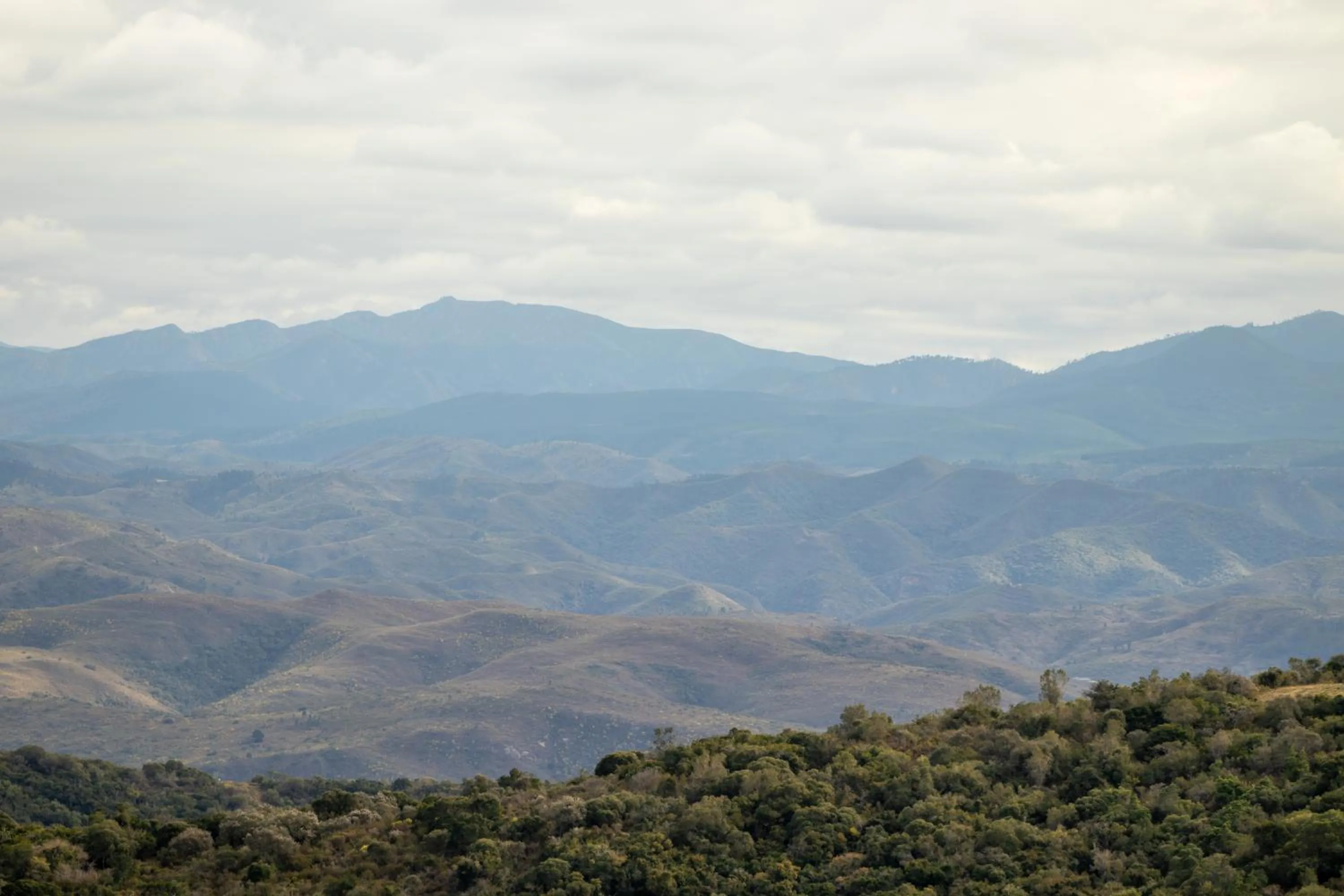 Natural landscape in Intle Boutique Hotel