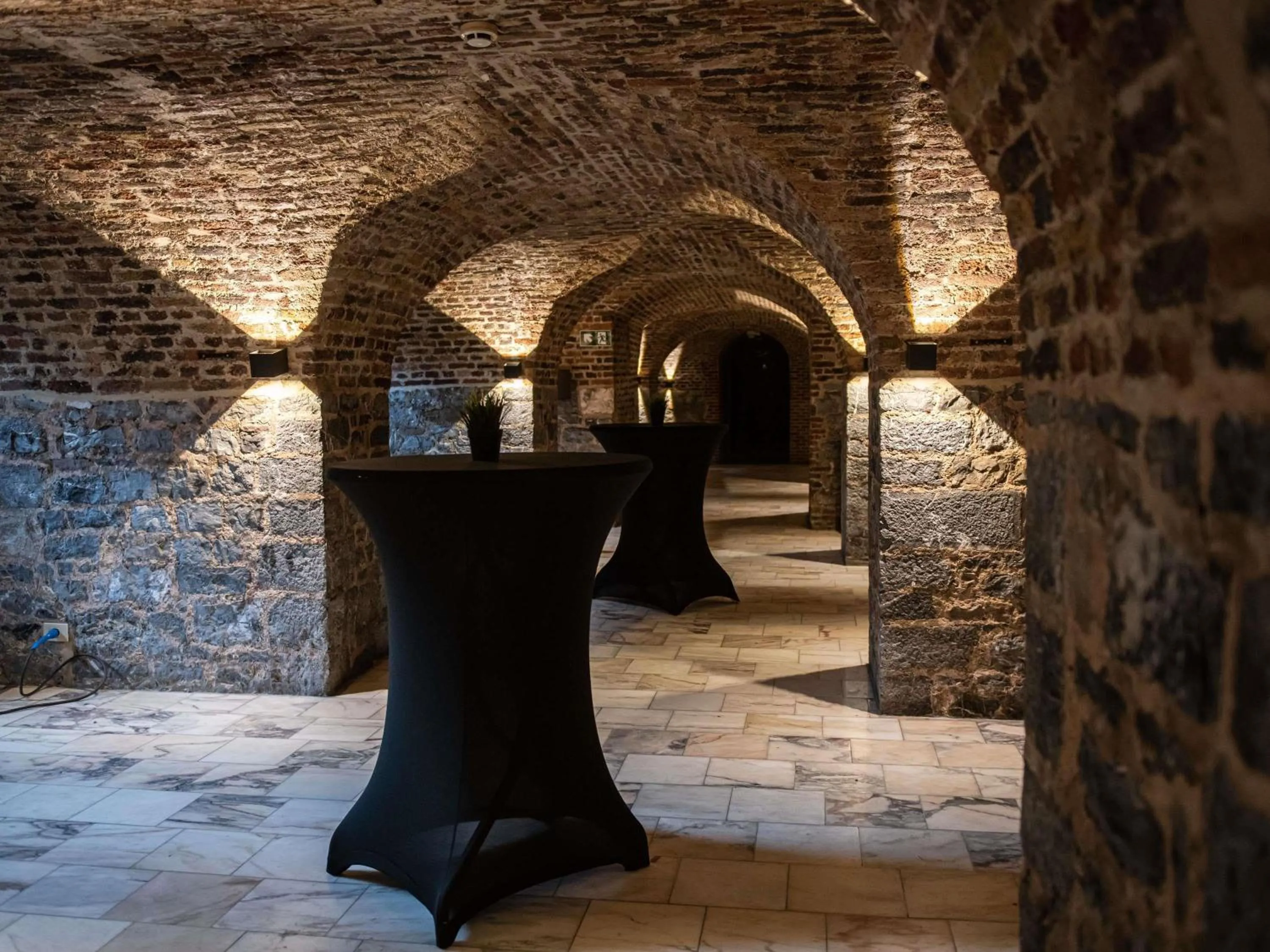 Meeting/conference room in Mercure Liege City Centre