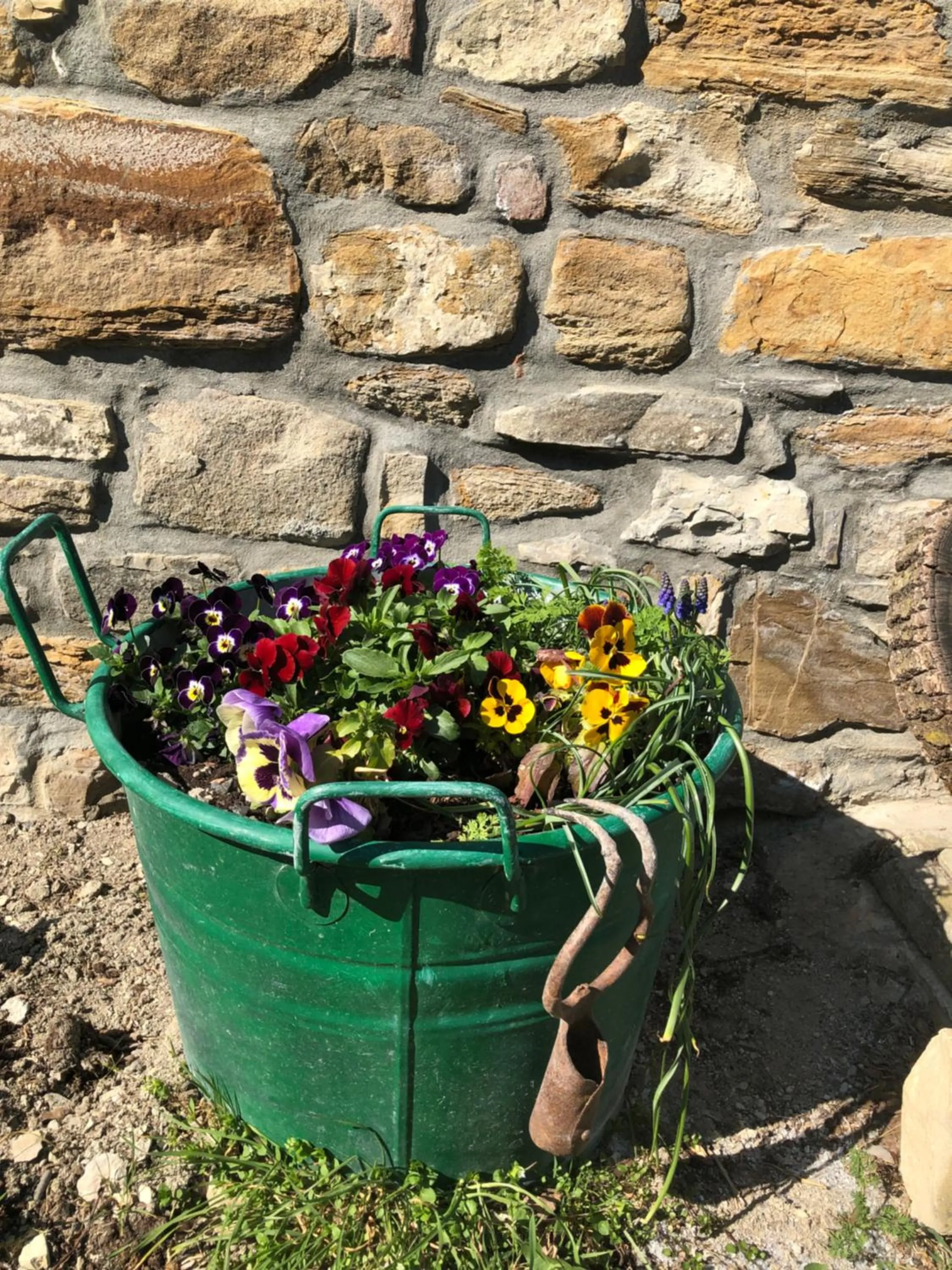 Garden in La Locanda nel vento
