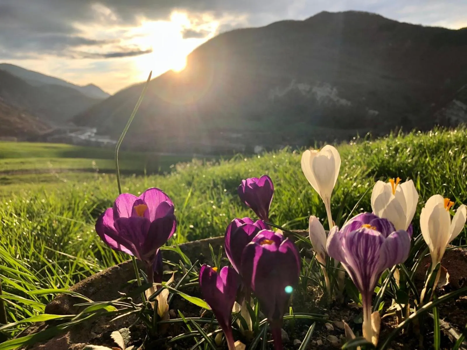 Natural landscape in La Locanda nel vento