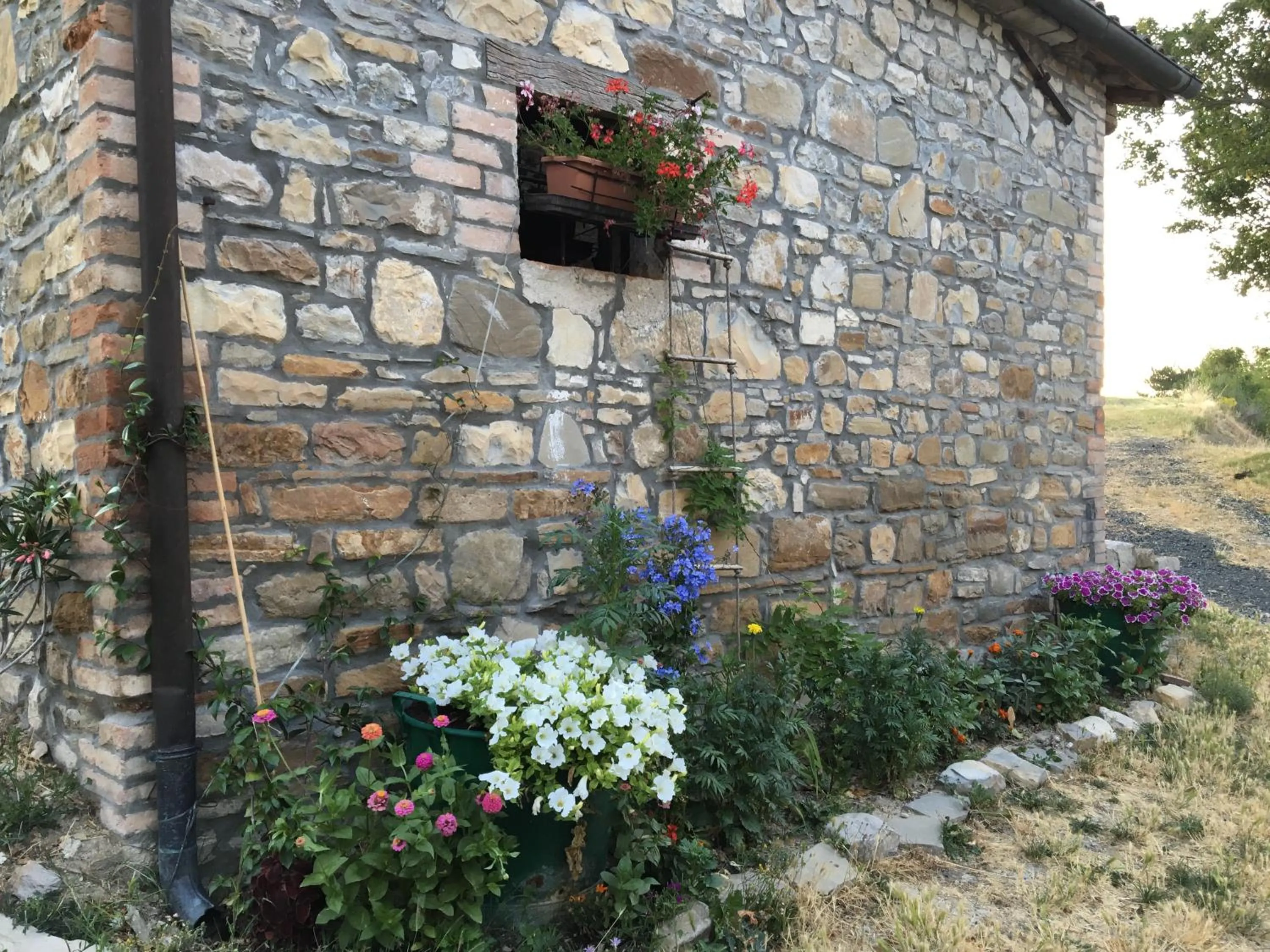 Garden in La Locanda nel vento