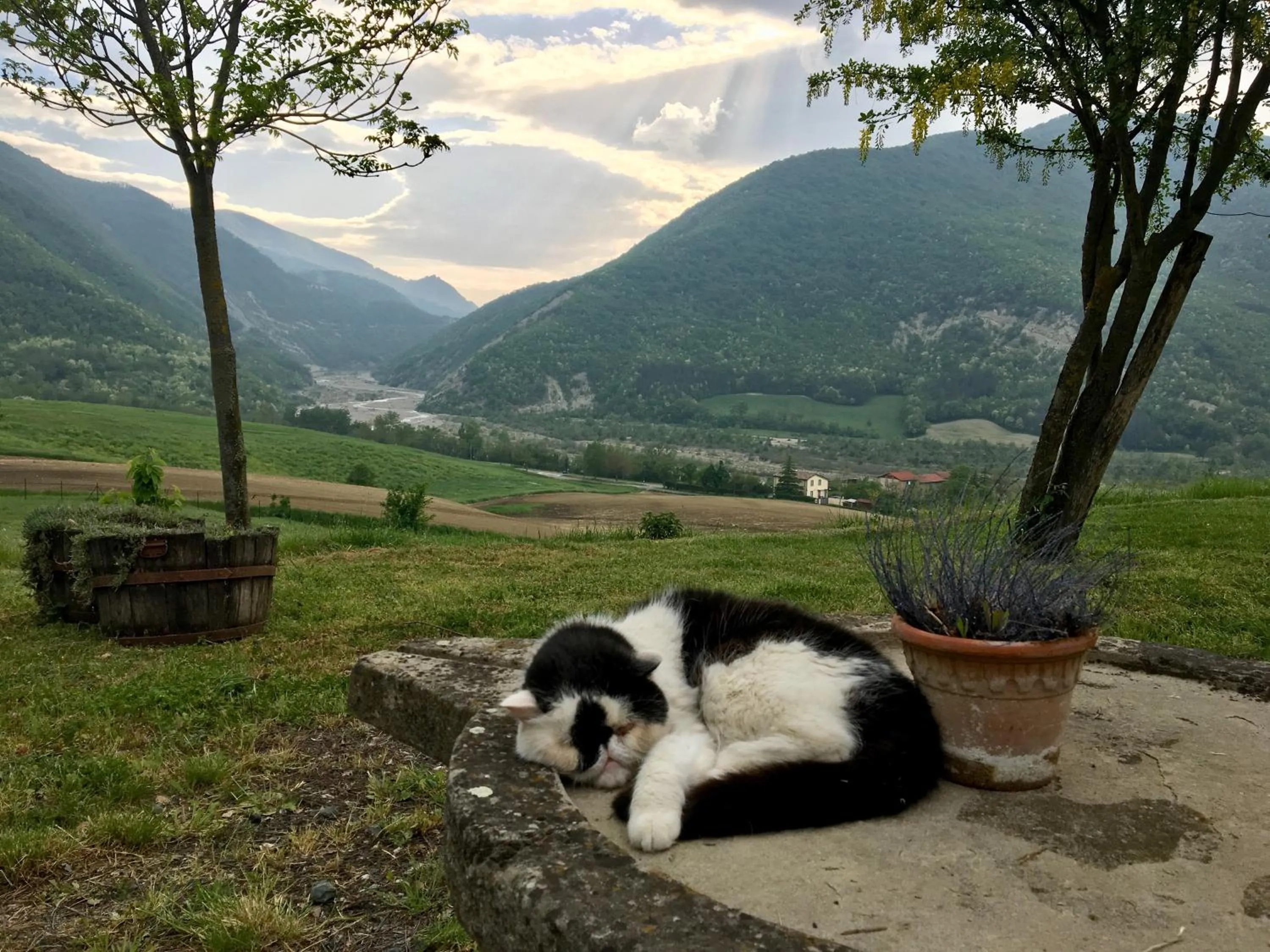 Pets in La Locanda nel vento
