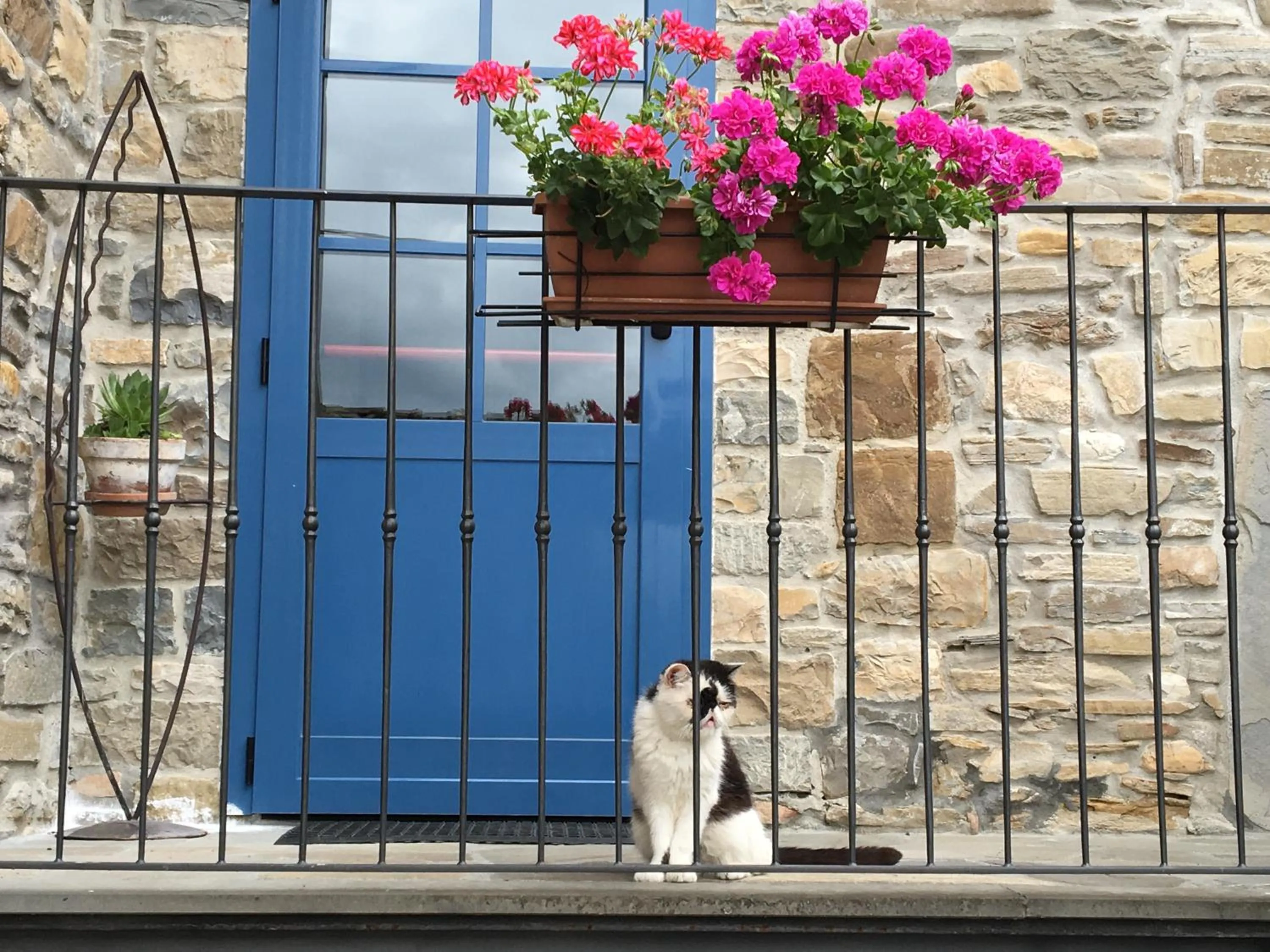 Property building in La Locanda nel vento