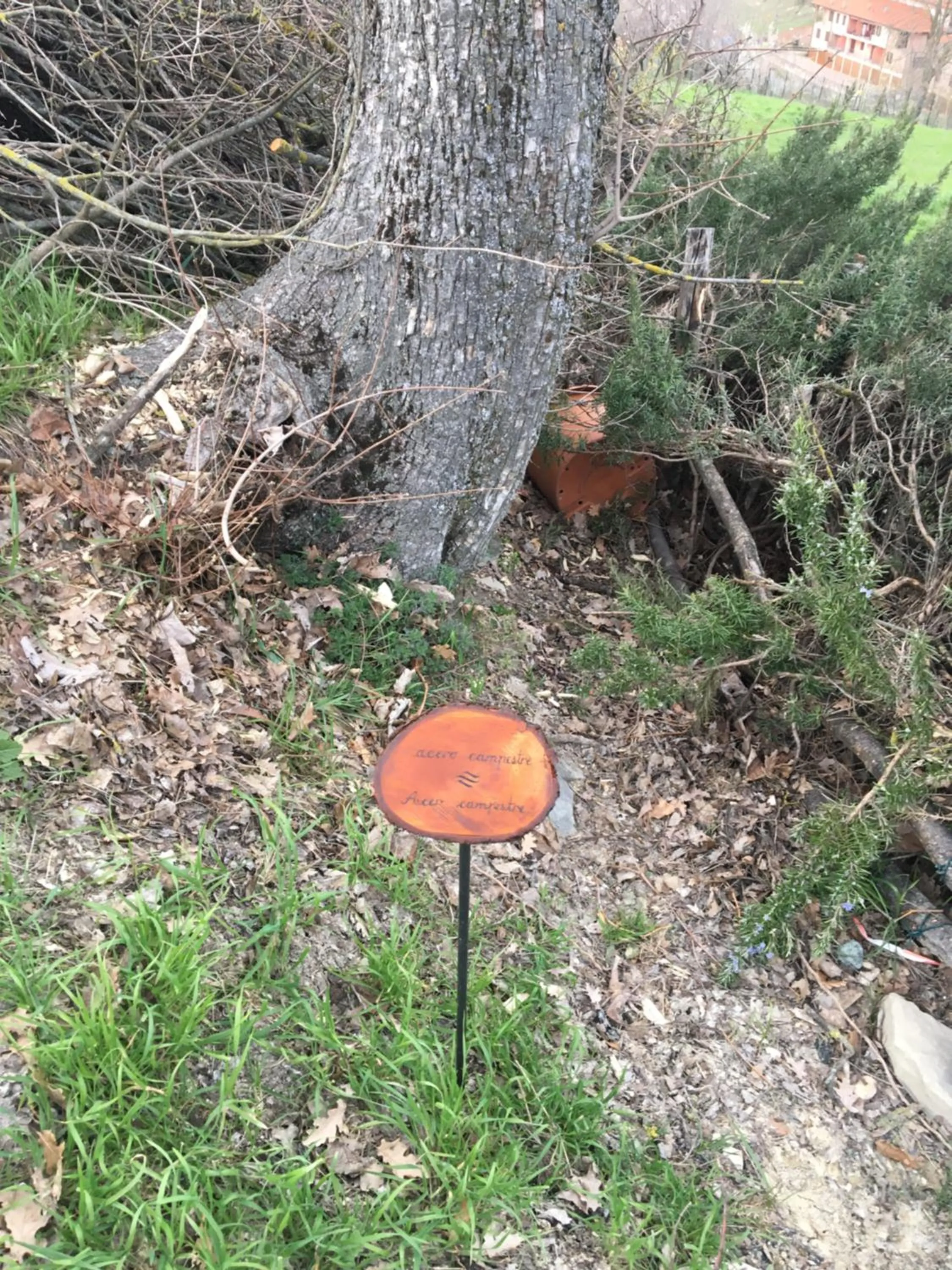 Garden in La Locanda nel vento