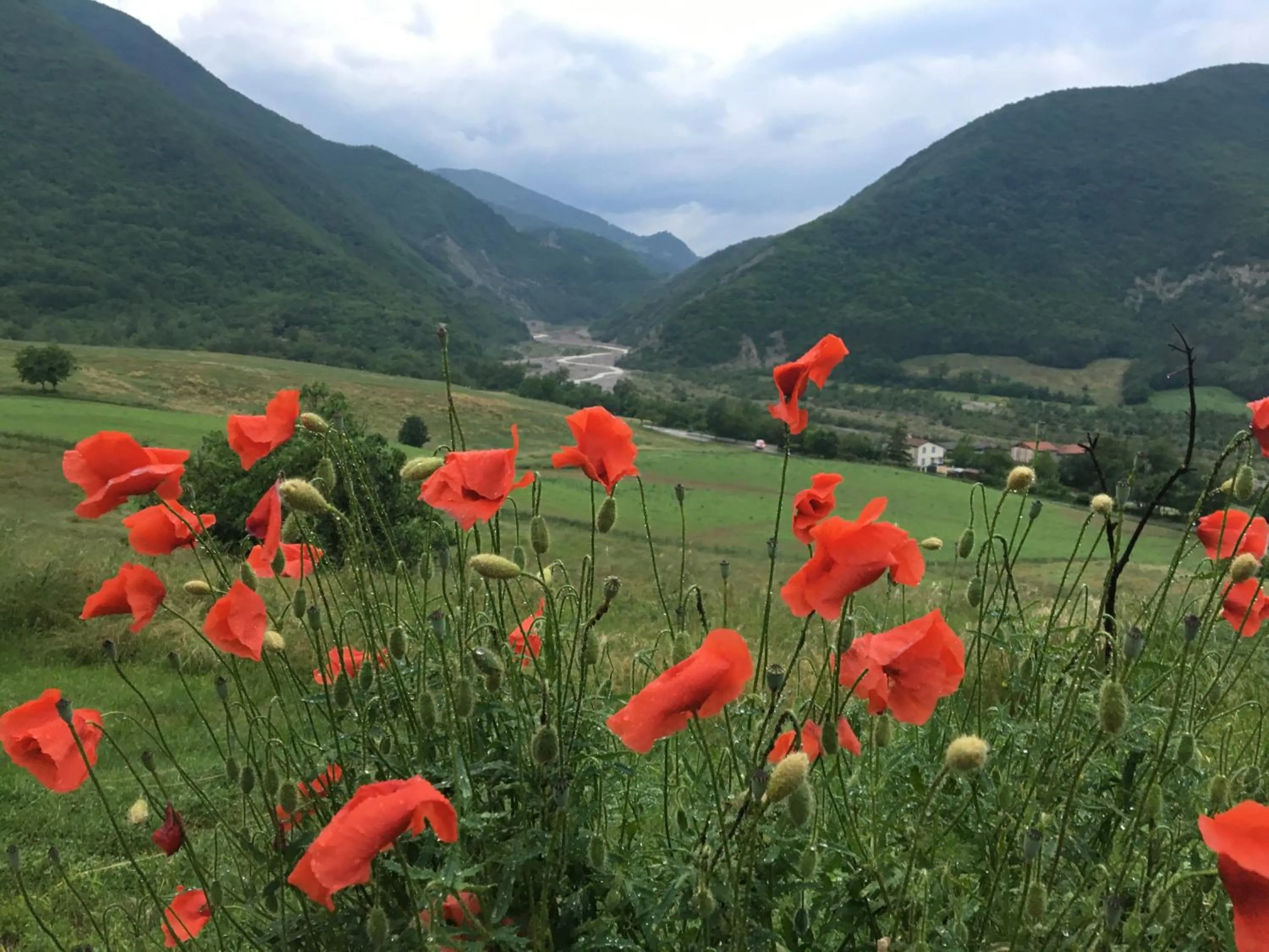 Natural landscape in La Locanda nel vento