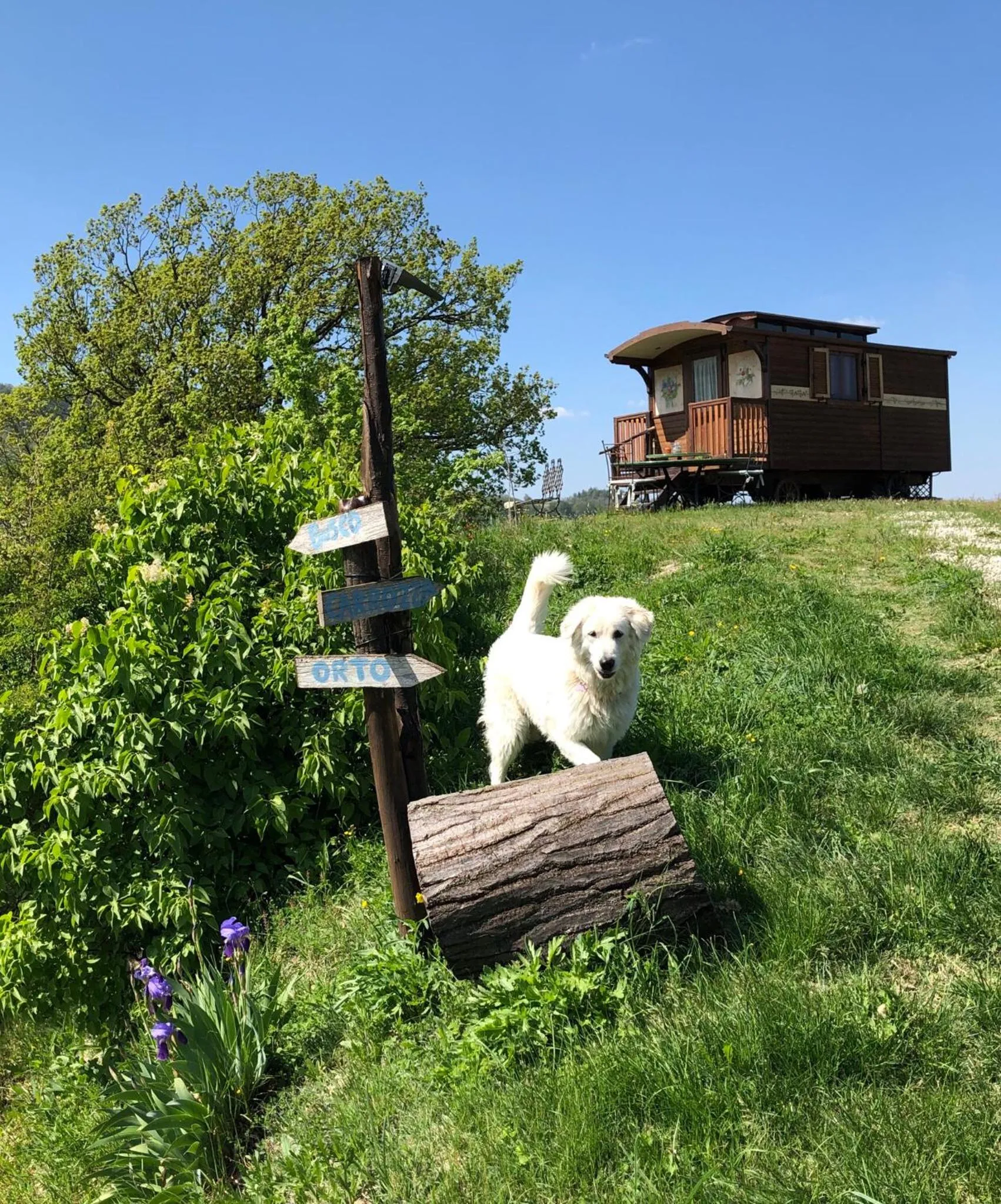 Pets in La Locanda nel vento