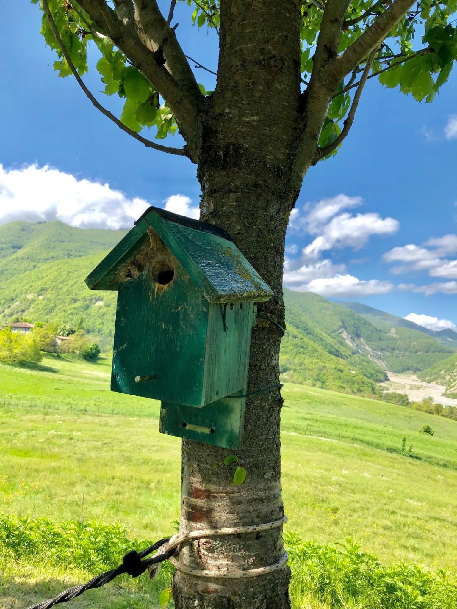 View (from property/room) in La Locanda nel vento